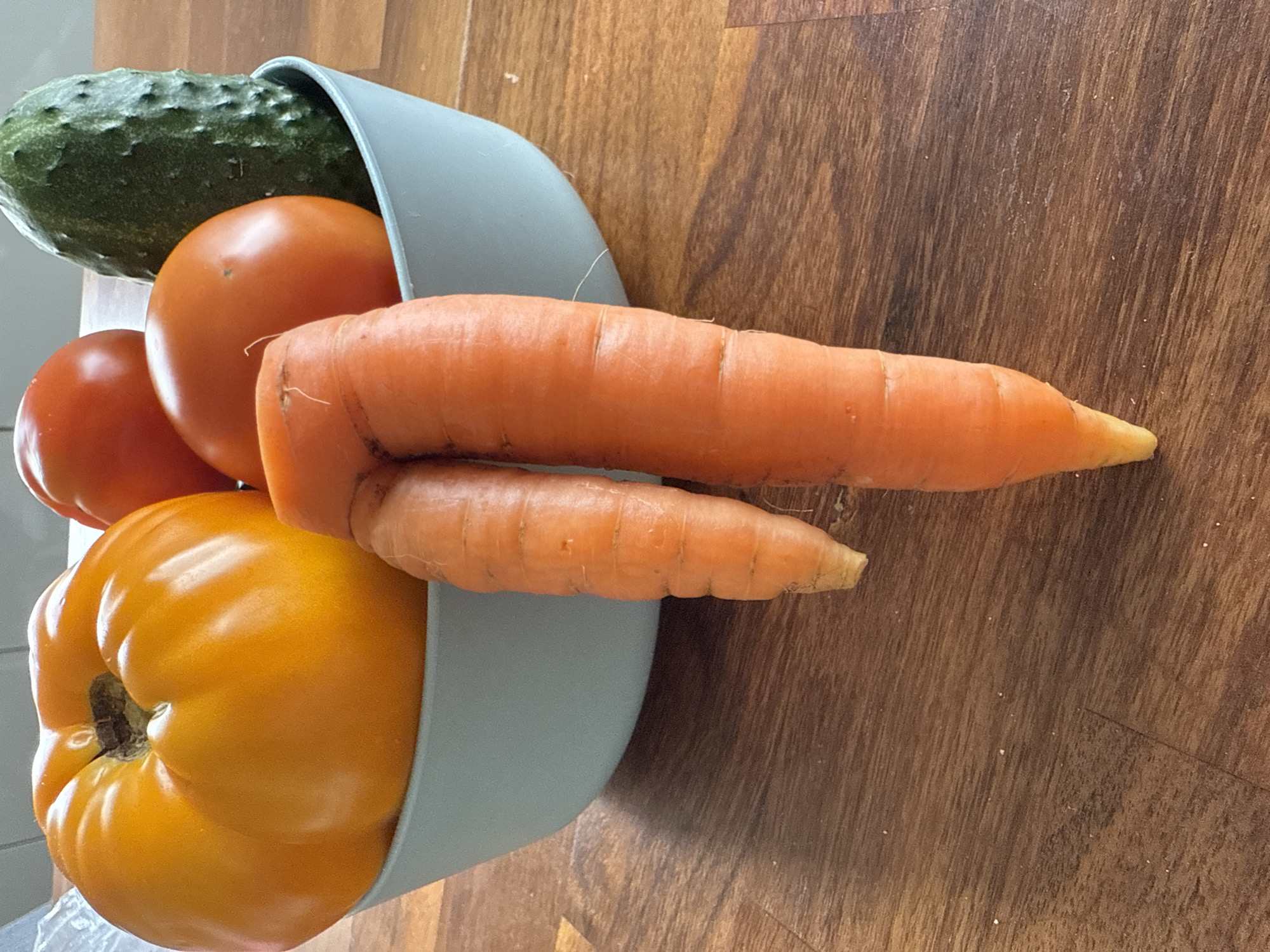 A close-up, eye-level shot shows a light blue bowl filled with vegetables, including a large yellow tomato, two red tomatoes, and a green cucumber. In front of the bowl, two oddly shaped carrots are positioned, one on the left and one on the right, with the right carrot being significantly larger. The carrots are leaning forward, their orange bodies clearly visible against the darker wood grain of the table. The lighting in the scene is soft, highlighting the textures of the vegetables and the wood. There are no people visible in the image. The scene appears to be set indoors, likely a kitchen or dining area, given the presence of the bowl and the wooden table surface. The location is specified as Птицевод-2 Снт, Russia.