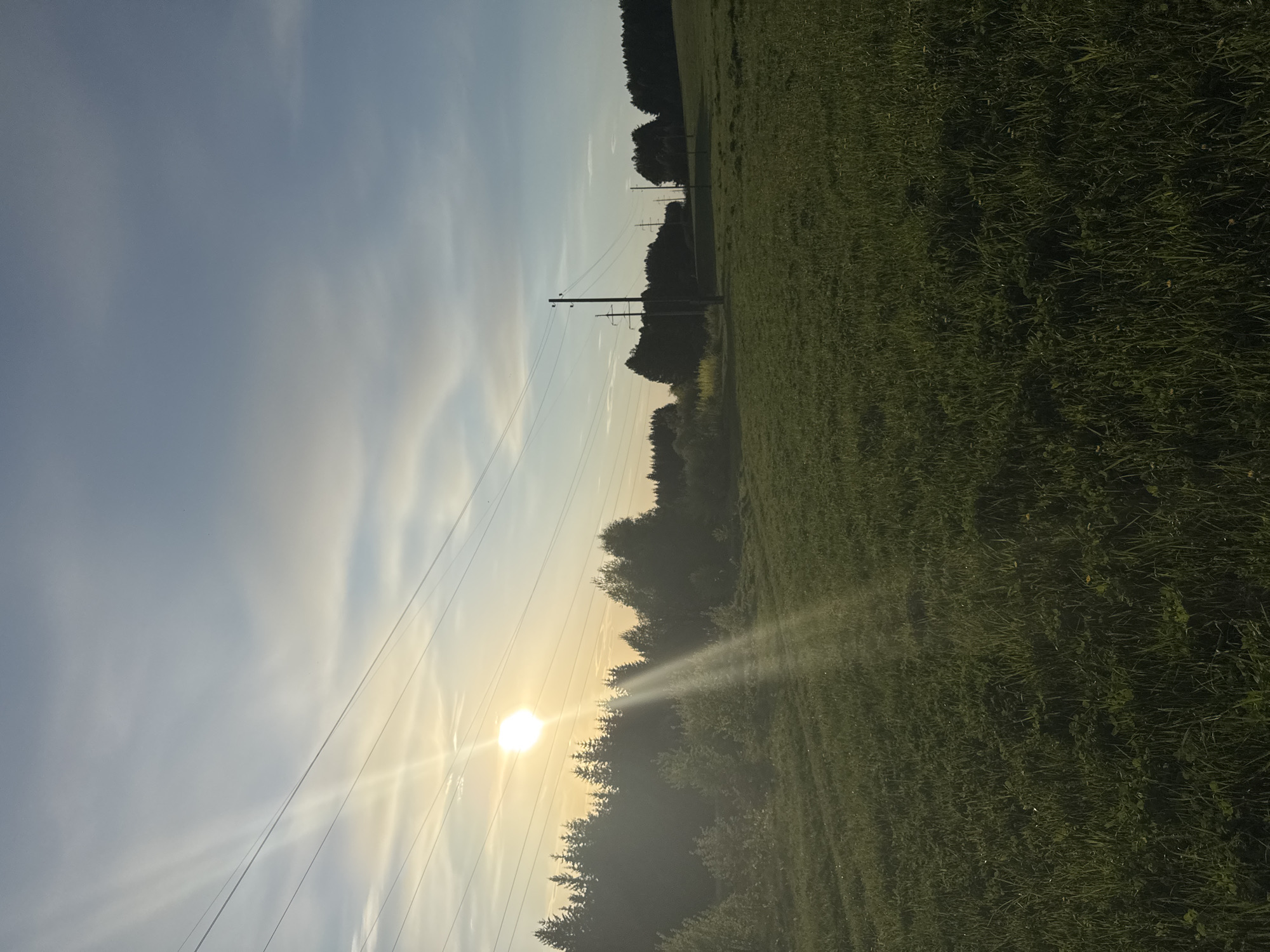 The image shows a landscape scene in Июльское, Russia. A bright sun shines low in the sky, partially obscured by a line of trees. Rays of sunlight stream through the trees onto a field of green grass that occupies the right half of the image. Several power lines stretch across the sky from the left, converging towards the location of the sun. In the distance, there is a line of darker trees. The sky is blue with wispy clouds.