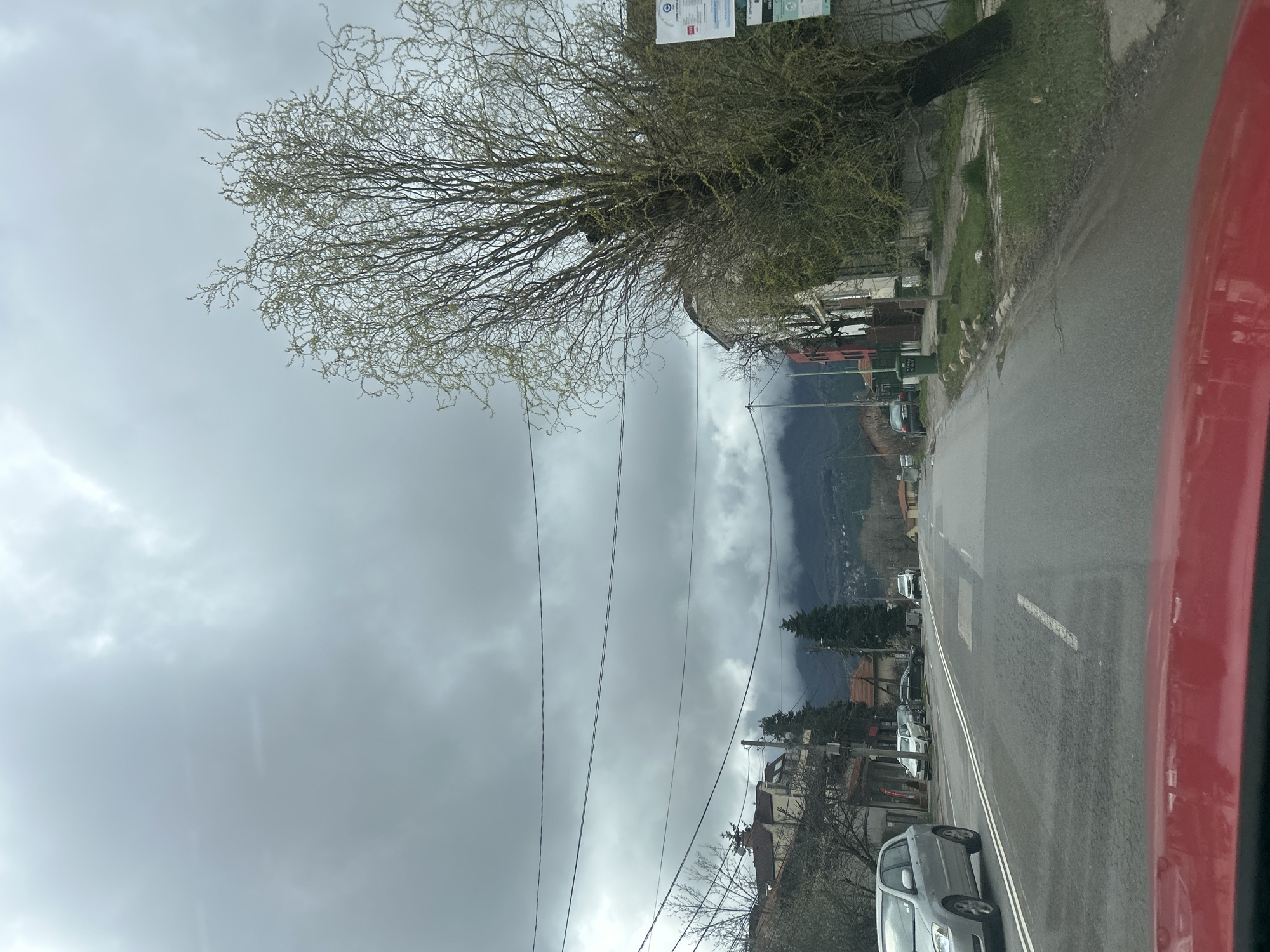 The image depicts a street scene likely taken from inside a car. On the right side of the road are parked cars, with a gray car closest to the camera. A road with white lines runs through the center, while the left side of the road features buildings, a tree with bare branches, and utility poles with overhead wires. In the background, a mountain range is partially obscured by clouds. The sky is overcast and gray. The perspective suggests the car is moving along the road. Although the image provides some clues, determining the specific location in Sofia, Bulgaria would require further analysis or additional context.
