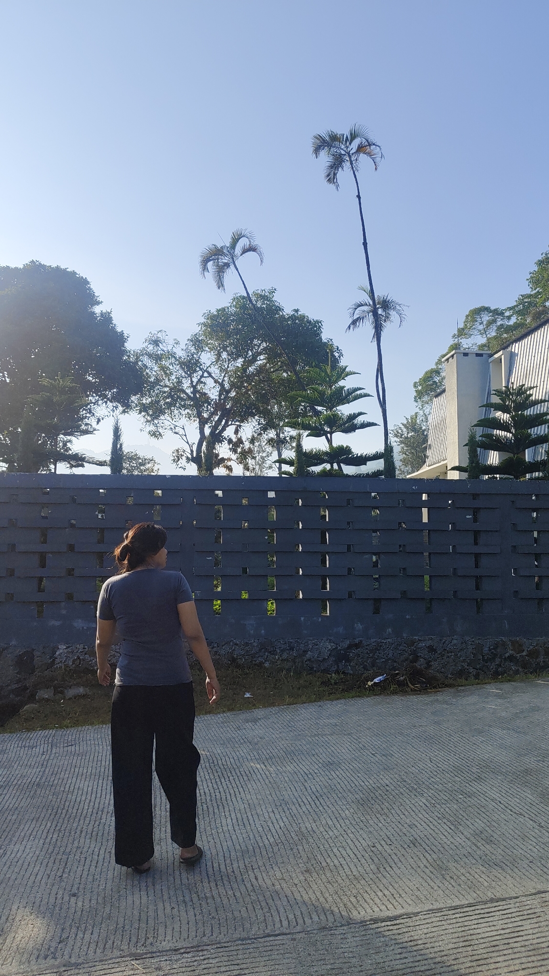 A woman with dark hair tied back is standing in a paved area, facing away from the camera, looking towards a grey brick wall with a pattern of square openings. Beyond the wall are trees, two tall palm trees, and a modern building with a white facade and a slanted roof. The sky is clear and blue. The woman is wearing a dark grey t-shirt and black wide-leg pants. The paved area has a textured surface with parallel lines. The scene appears to be outdoors in a sunny, possibly tropical environment. The location is identified as Cisarua, Indonesia.