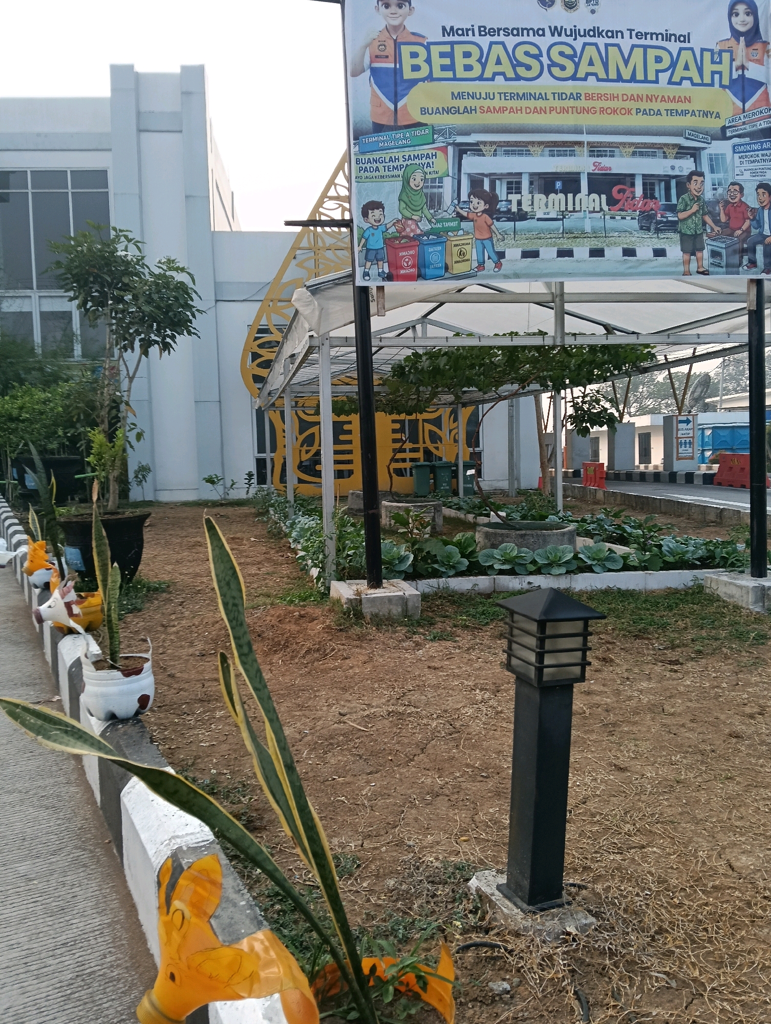 The image shows an outdoor scene at the Tidar Terminal in Magelang, Indonesia. In the foreground, a pathway with a concrete curb is visible, decorated with potted plants. Some of the pots appear to be made from recycled plastic bottles and are painted yellow, resembling animals. One plant in the foreground is a snake plant with long, striped leaves.
Behind the pathway is a garden area with raised beds containing leafy green vegetables, possibly cabbage. A metal trellis with vines grows overhead. A black square lamppost stands in the garden.
In the background, a large white building with windows is visible, as is a yellow architectural structure with decorative cutouts. A banner is prominently displayed, featuring cartoon characters and text in Indonesian promoting a clean terminal. The banner reads "Mari Bersama Wujudkan Terminal BEBAS SAMPAH" (Let's Together Create a TRASH-FREE Terminal) and provides instructions on proper waste disposal. Further in the background, cars and traffic cones are visible on a road, suggesting the active use of the terminal. The overall impression is of an effort to beautify and maintain a clean environment at a public transportation hub.