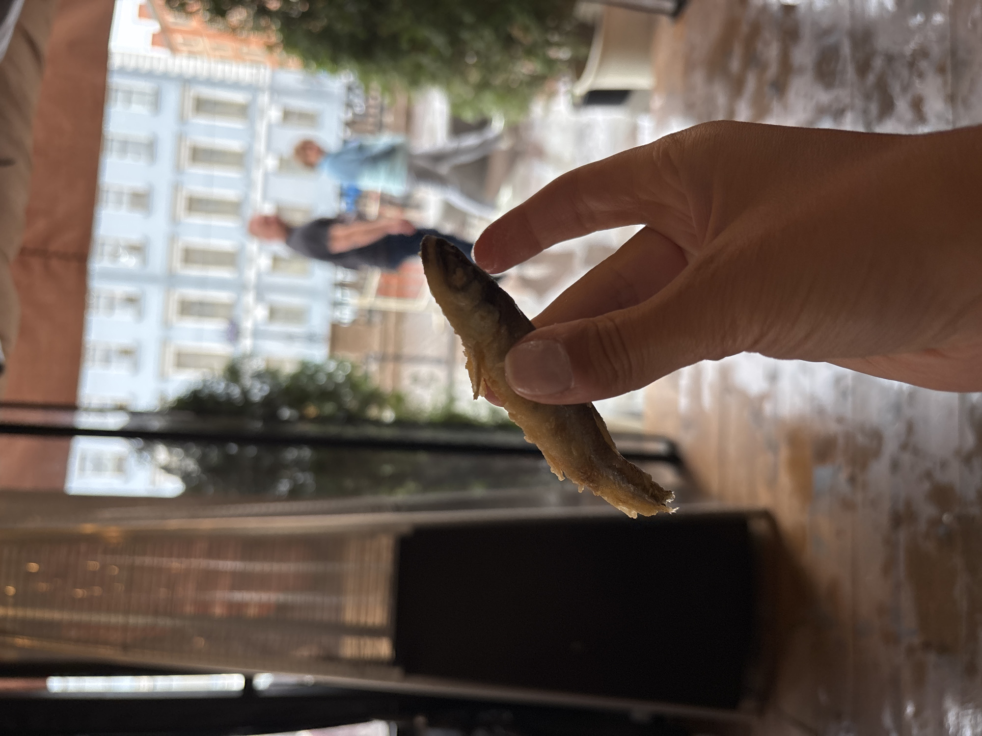 In this media, a person's hand is holding up a small fried fish for inspection, with a blurred background suggesting an outdoor urban setting. The fish is golden brown and appears to be whole, with its tail and head visible. The hand holding the fish is fair-skinned and positioned in the foreground, taking up a significant portion of the frame.
Behind the hand, a blurred scene unfolds. Two people are visible in the middle ground, one wearing a light blue top and the other a dark shirt. They appear to be standing or walking, but their features are indistinct due to the focus being on the fish and the hand. In the background, a building with multiple windows and a light-colored facade is visible, hinting at a European architectural style. The overall lighting suggests it might be daytime, possibly afternoon, given the soft illumination and the presence of shadows.
The ground in the foreground and mid-ground appears to be a tiled or cobblestone surface, wet and reflective, possibly indicating recent rain or a damp environment. To the left and right edges of the frame, elements of outdoor seating or structures are partially visible, further reinforcing the idea of a cafe or restaurant patio. The blurred greenery above the building suggests trees or bushes, adding to the outdoor ambiance. No text is visible in the media. The activity appears to be casual, perhaps a meal or a snack being presented for consideration.