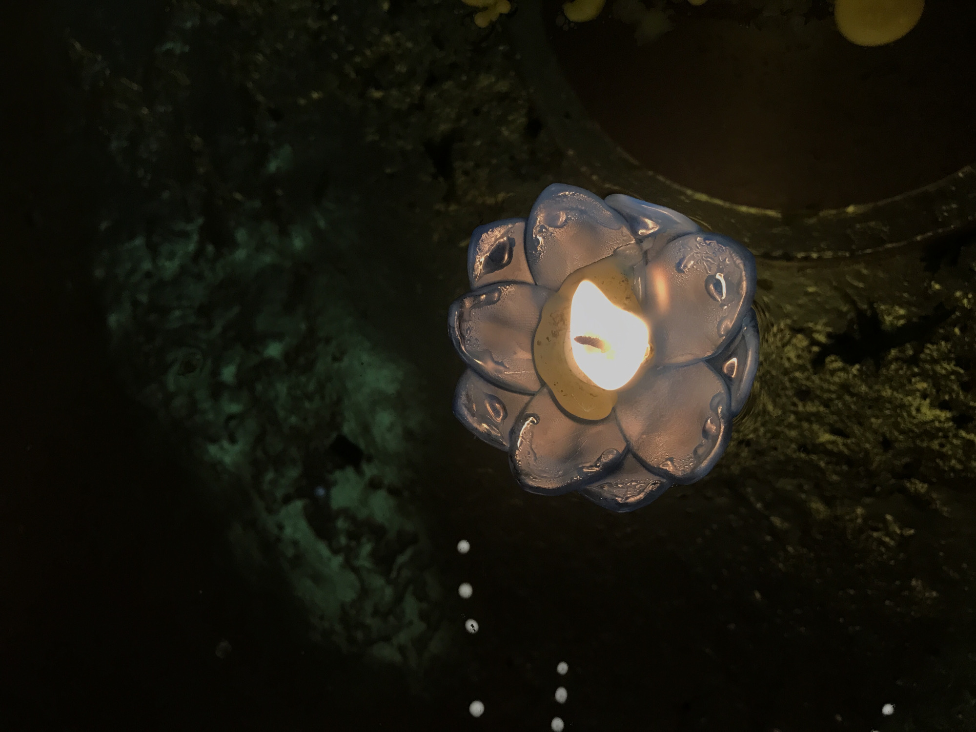 A lit candle in the shape of a flower floats on the water. The candle is white and blue and has a bright yellow flame. The water is dark and reflects the candle's light. The background is dark and blurry, but it appears to be a pond or pool. There are white dots in the water that look like flower petals. The location is Baan Mae Nam, Thailand.