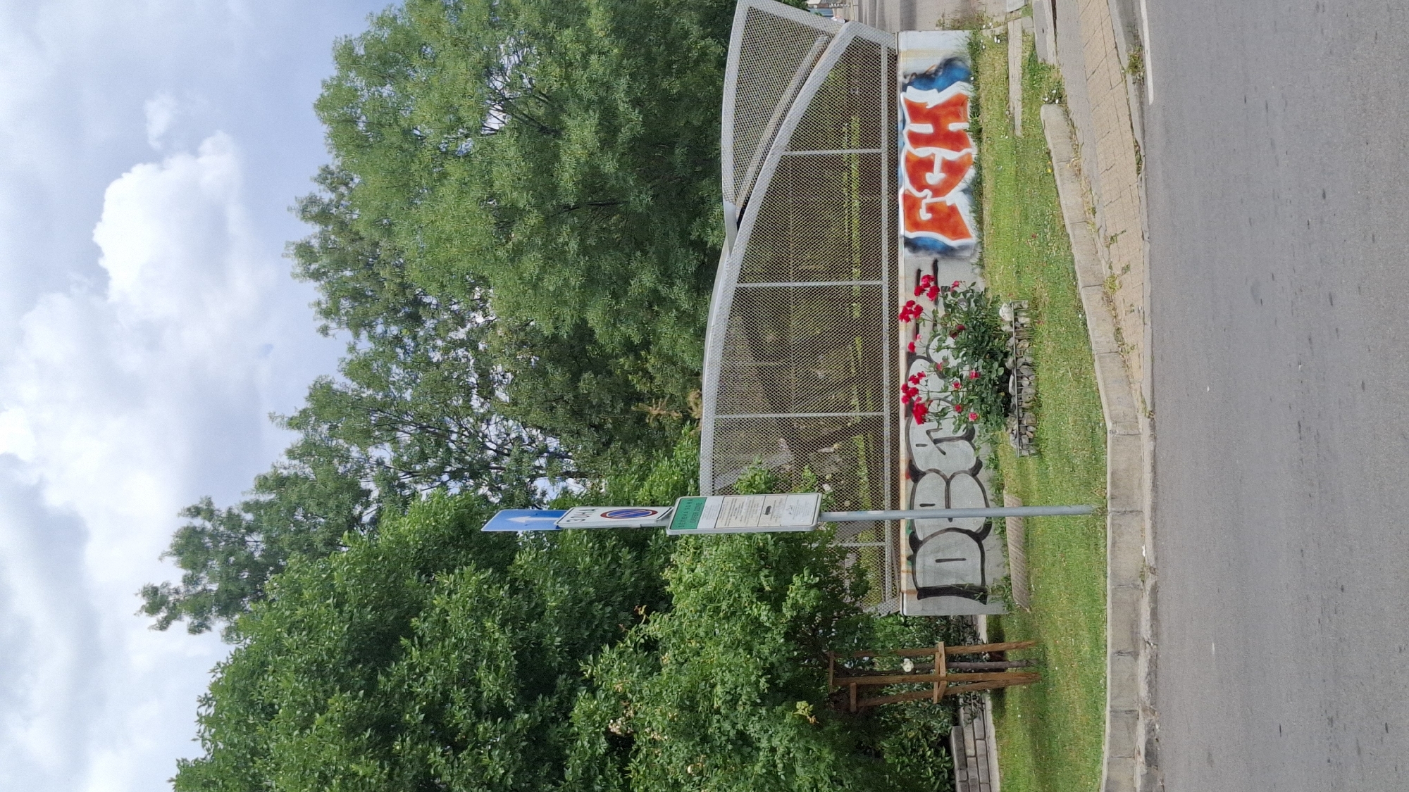 This is a vertical, eye-level, outdoor shot of a street scene in Sofia, Bulgaria. The image is dominated by lush green trees and a bright, cloudy sky, suggesting it was taken during the day in fair weather.
In the foreground, a concrete curb separates a paved road from a grassy area. A metal pole stands in the grass, holding several signs. One sign is blue with a white arrow pointing right, indicating direction. Another sign features a circular red symbol with a diagonal line through it, typically signifying prohibition. A third sign has white text on a green background, which appears to be informative.
Behind the signs, a concrete structure is visible, adorned with graffiti. Two distinct tags are present: one in orange with blue outlines and red shadowing, featuring blocky letters that are difficult to decipher fully. Below this, another tag in grey and white displays rounded, bubble-like letters. A cluster of vibrant red roses grows in front of the graffiti, adding a splash of color to the urban landscape.
Further back, a large, curved structure covered with a metal mesh rises up. Its purpose is unclear from the image, but it could be a sound barrier or part of a larger architectural installation. More trees and foliage fill the background, creating a sense of being in a park or a well-vegetated urban area. The overall impression is a snapshot of an everyday scene in Sofia, blending natural elements with man-made structures and graffiti art.