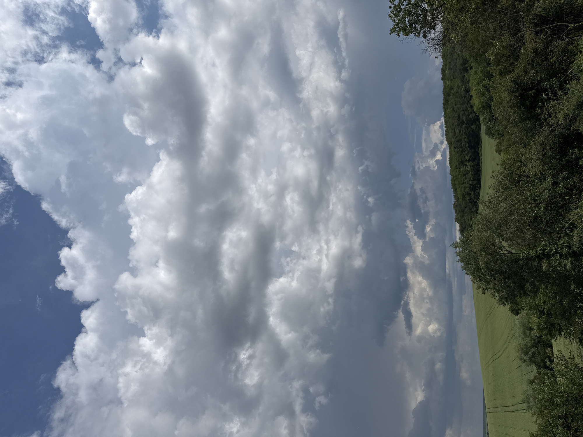 The image shows a view of Pleven, Bulgaria. A green field is visible on the right, bordered by trees. The sky is filled with clouds, some white and fluffy, others gray and darker, suggesting an overcast or stormy day. A patch of blue sky is visible in the upper left.