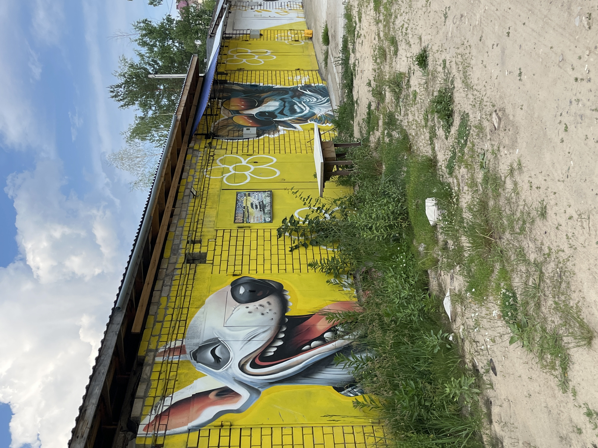 The image depicts a row of garages in Zelenodol'sk, Russia, adorned with vibrant graffiti. The main focus is a large, humorous mural of a dog with its mouth wide open in a laugh, its tongue lolling out. The garage doors and walls are painted a bright yellow, creating a striking contrast with the blue sky and white clouds overhead. To the right of the laughing dog mural, another garage door features graffiti of a dog wearing sunglasses. White flower stencils are scattered across the yellow surface of the garages. In front of the garages, there is an abundance of overgrown green vegetation, with some weeds and grass growing on the sandy, dirt ground. A small, weathered wooden table with a white top sits in front of one of the garage doors. The scene suggests an outdoor, possibly industrial or residential area, characterized by its colorful artistic embellishments and natural overgrowth.