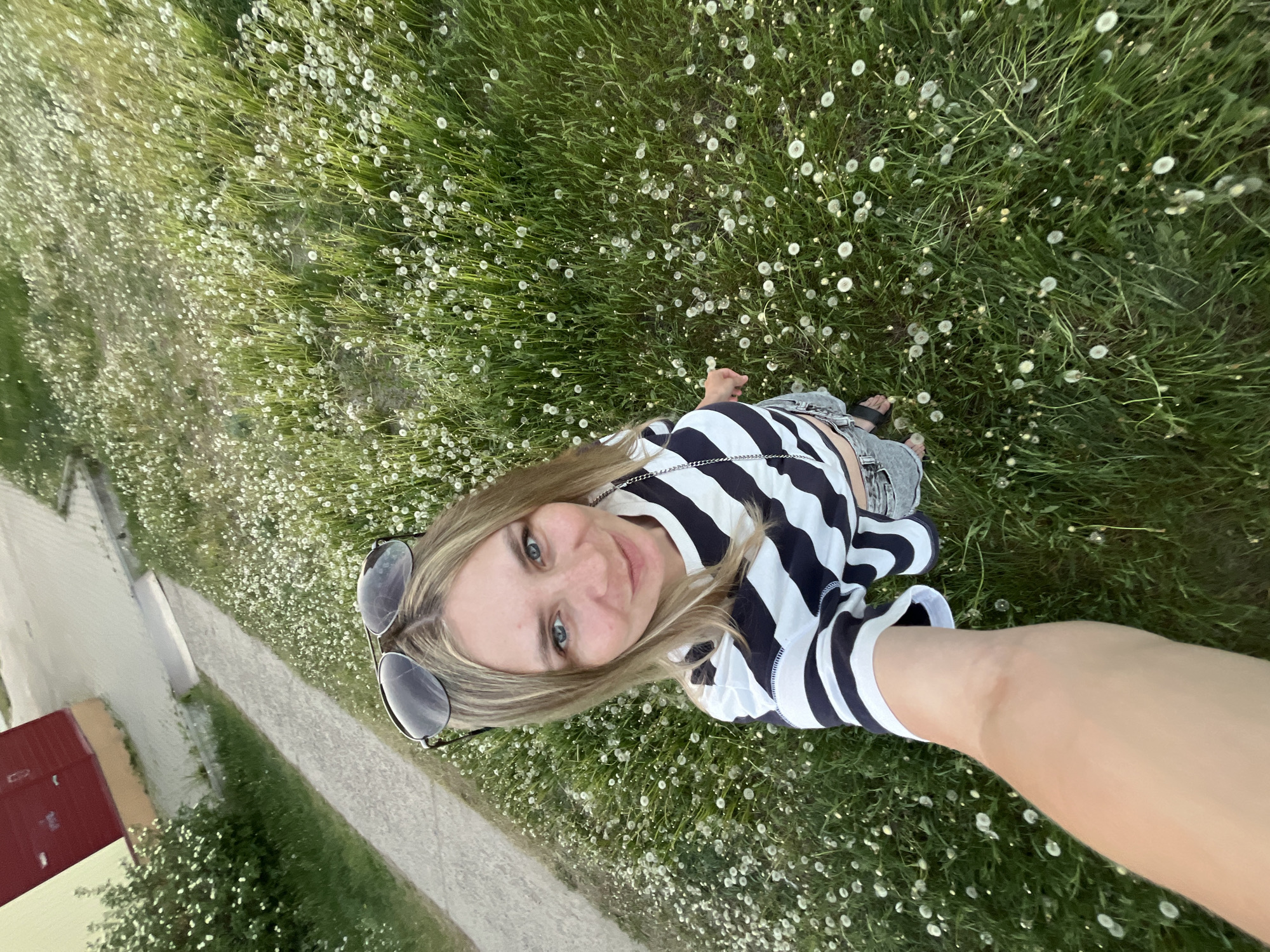 A woman is taking a selfie in a field of dandelions in Chaikovsky, Russia. She has blonde hair, blue eyes, and is wearing a black and white striped shirt. Sunglasses are perched on top of her head. A sidewalk and a building are visible in the background. The photo is taken from a high angle, with the camera pointing down at the woman. The dandelions are spread across the grassy field.