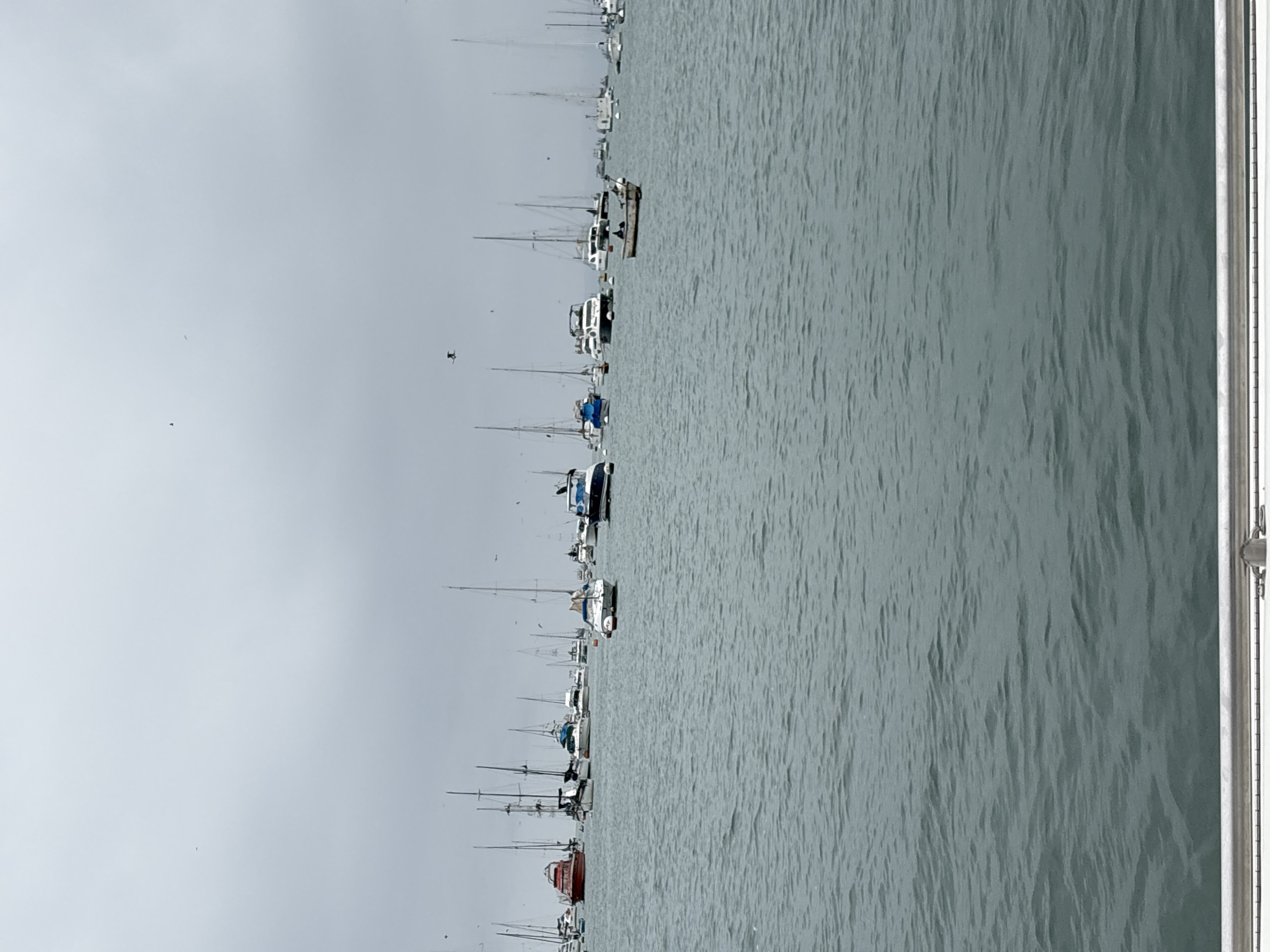 This is an eye-level, medium shot of a cloudy day at a marina with many boats docked in the water. The water is choppy, with small waves. In the foreground, there is a white railing with metal fittings. In the background, numerous sailboats and motorboats are moored. Some boats are closer to the camera, while others are further away. The sky is overcast and gray, with a few distant birds visible. The scene appears to be a calm, recreational harbor. Given the context of La Punta, Peru, this is likely the La Punta Marina. There are no people clearly visible on the boats or docks, though there are two figures in a small boat in the middle distance.