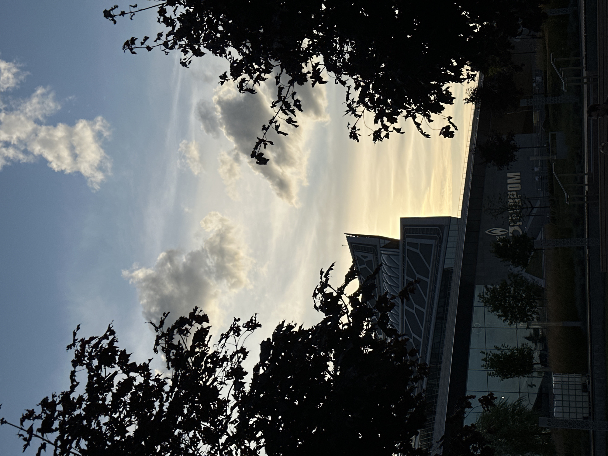 The image depicts a view of the Lakhta Center in Saint Petersburg, Russia, at dusk. Silhouetted trees frame the foreground and right side of the image, their dark foliage contrasting with the pale sky. The Lakhta Center, a striking modern skyscraper with a distinctive twisted design, is visible in the mid-ground. Its reflective glass facade mirrors the sky and surrounding elements. The sky is filled with a mix of light and dark clouds, illuminated by the warm, fading light of the setting sun. A portion of the building's facade features the "GAZPROM" logo. In the lower part of the image, a park-like area with planters, benches, and people can be seen. The overall atmosphere is serene, with the natural beauty of the sky and trees juxtaposed against the imposing architecture of the city.