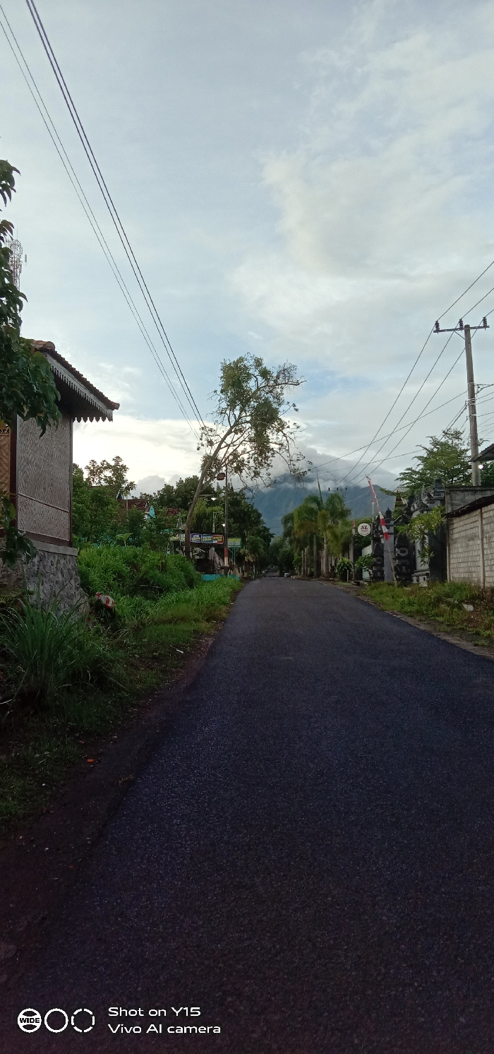 A long asphalt road stretches into the distance, flanked by lush greenery and buildings. Power lines crisscross above. A leaning tree adds character to the scene. In the background, a majestic mountain is partially veiled in mist. The sky is overcast with a mix of white and grey clouds. The image is framed by vegetation on the left and a building on the right.