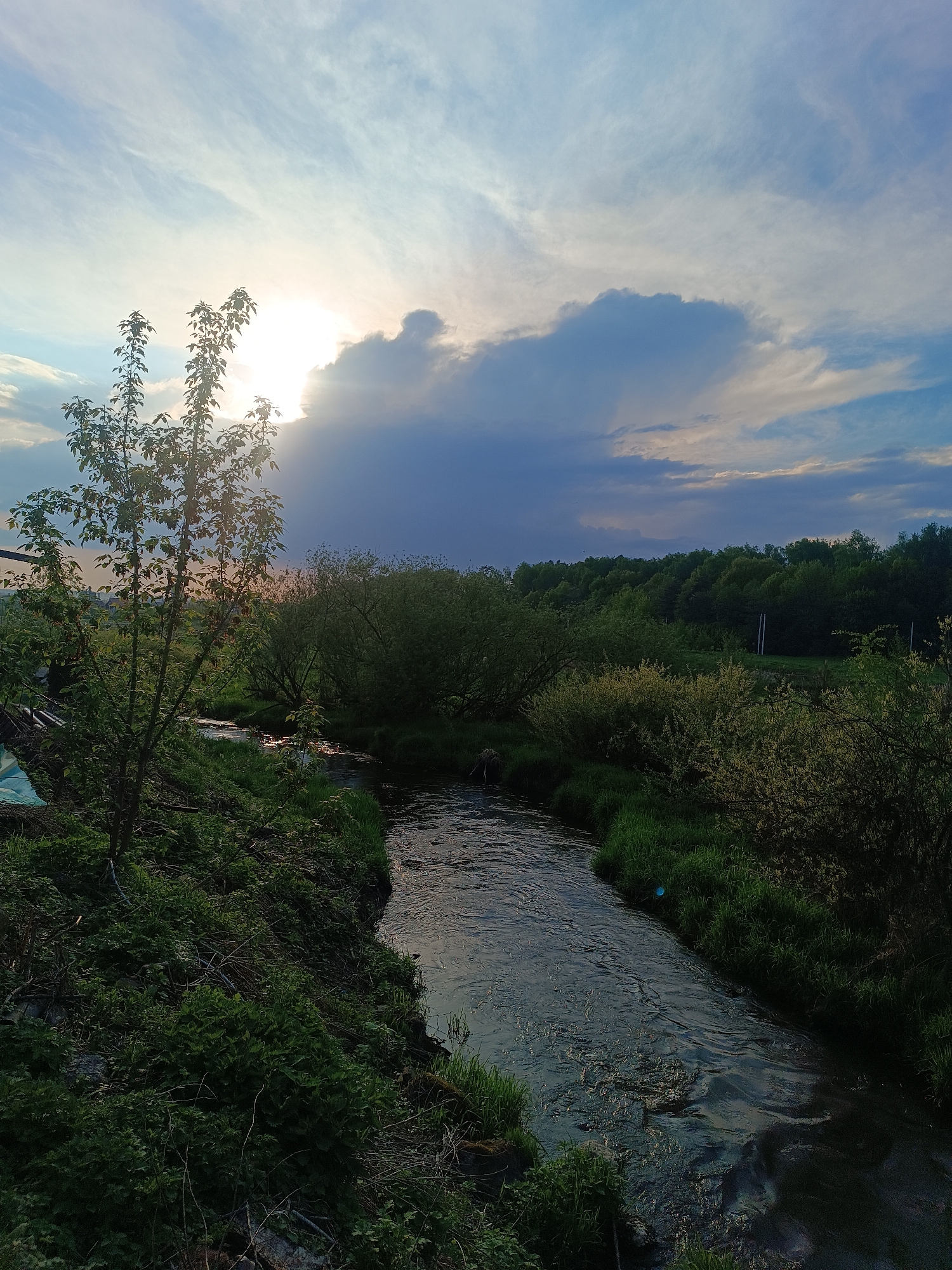 The image depicts a narrow stream flowing through a grassy, overgrown area, likely located in a rural or semi-rural environment. The stream meanders from the background towards the foreground of the image. The banks of the stream are lined with dense vegetation, including tall grass, bushes, and small trees. In the background, there is a line of trees. The sky is partly cloudy, with the sun shining through a break in the clouds, creating a bright spot in the image. The light gives a silhouette effect to a tall, slender tree located on the left side of the frame. The location is specified as Motyakovo, Russia, though no structures or features definitively place the scene there. The image appears to be taken during daylight hours, possibly in the late afternoon or early evening, based on the position of the sun and the overall lighting. No people or animals are visible in the frame.