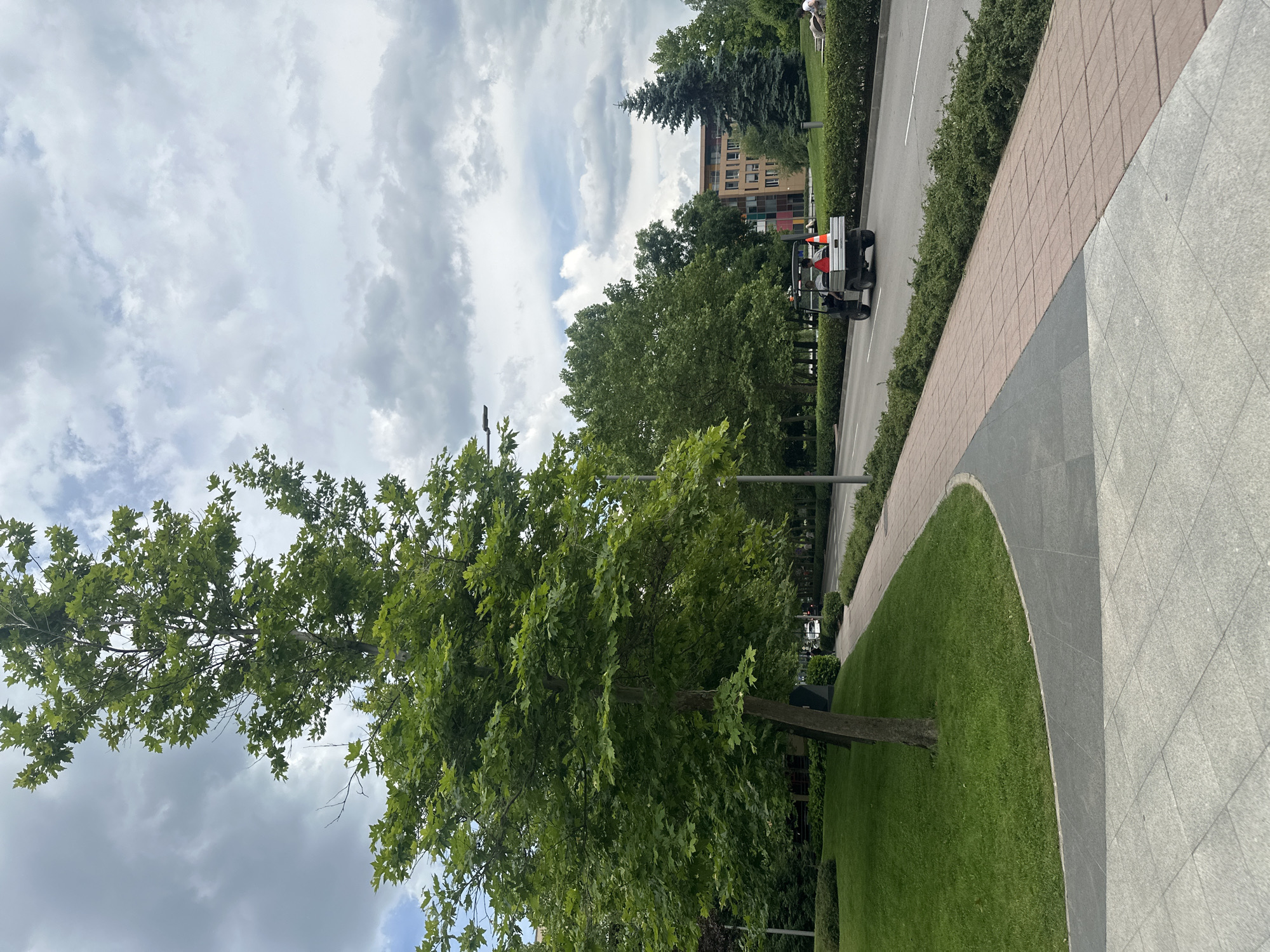 The image depicts a street scene in Sofia, Bulgaria, on a cloudy day. In the foreground, a large green tree with broad leaves dominates the left side of the frame. Its branches extend upwards and outwards, partially obscuring the sky. The ground beneath the tree is covered in lush green grass.
To the right of the tree, a paved walkway curves gently. The walkway is composed of reddish-brown brick tiles and grey granite slabs. Beyond the walkway, a manicured hedge forms a border.
A paved road runs parallel to the walkway and hedge, with a white line marking the lane. On the road, a small white utility vehicle with a cage in the back is visible. Two orange traffic cones are placed on the vehicle. A person in a white hard hat is standing behind the vehicle, facing away from the camera. Further down the road, another person is visible.
In the background, beyond the trees and the hedge, a multi-story building with a modern design, featuring colorful window frames, stands out. The sky is filled with dramatic grey clouds, suggesting overcast weather. The overall scene appears to be an urban or park-like environment, possibly a university campus or a public space, given the presence of the building and the landscaping. The time of day is difficult to ascertain precisely due to the cloudy conditions, but it appears to be daytime. There is no visible text in the image.