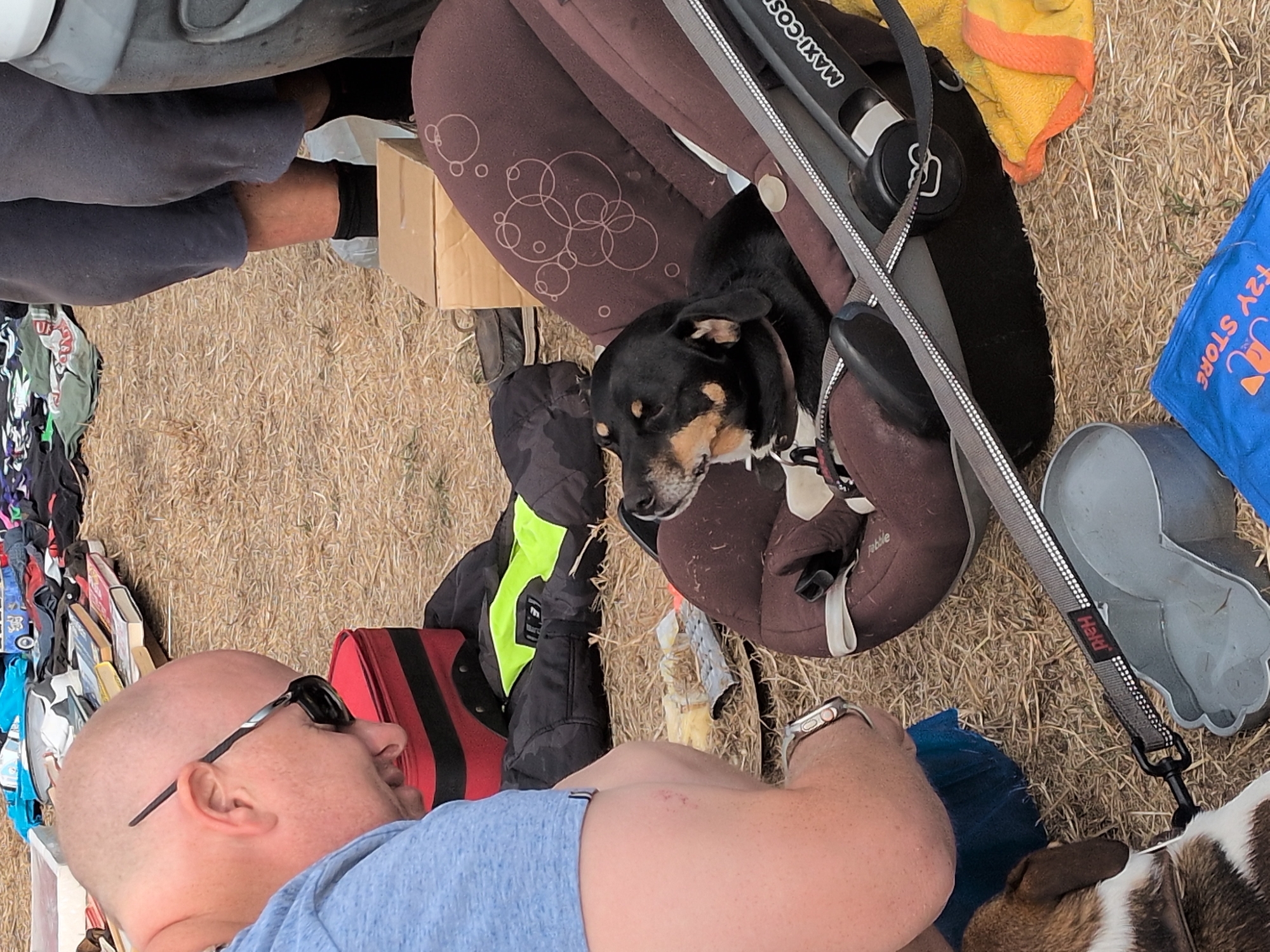 The image captures an outdoor scene at what appears to be a flea market or car boot sale. A bald man wearing sunglasses and a blue t-shirt is crouched down, facing a dog in a car seat. The dog, a black and tan dachshund mix, is lying in a brown car seat, looking up and to the side. In the background, a variety of items are spread out on the ground, including clothing, books, and bags. The ground is covered in dry grass or straw. A grey dog lead with a reflective strip and the word "HAH" is visible in the foreground, attached to a grey paw-shaped container, possibly a water bowl. A yellow and orange towel is placed near the car seat. In the far background, legs of a person wearing dark grey trousers and black socks are visible. The overall setting suggests a casual outdoor event. The location is identified as South Staffordshire, United Kingdom.