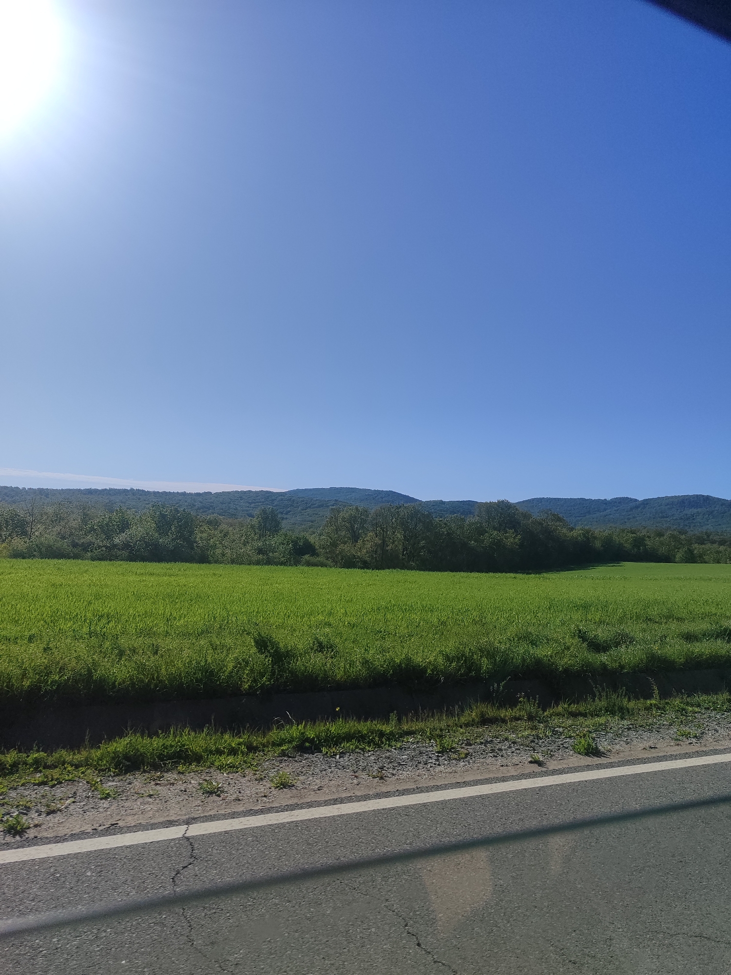 The image shows a rural landscape under a clear, bright blue sky, likely during the daytime. A green field dominates the middle ground, stretching to a line of trees and hills in the background. The foreground features a paved road with a white dividing line. The sun is visible in the upper left corner of the image, suggesting directionality and possible time of day. The location might be in or around Krushevets, Bulgaria.