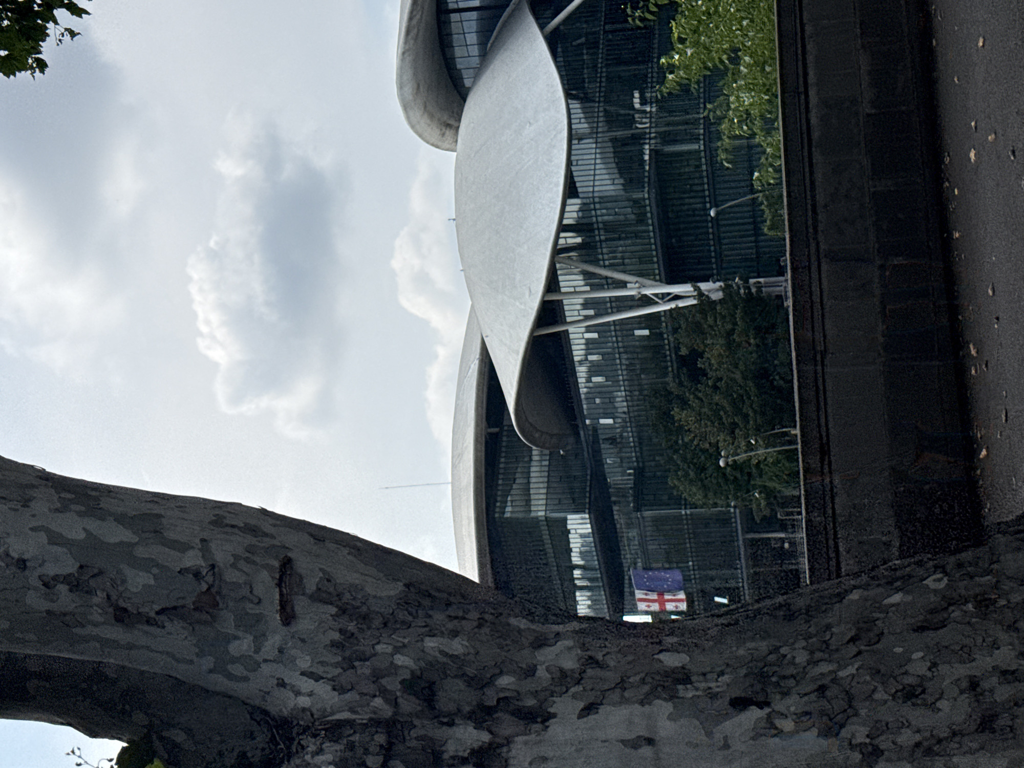 The image shows a section of the Parliament of Georgia building in Tbilisi. The building features a modern architectural design with large glass facades and curved, shell-like roofs. In the foreground, a large tree trunk with rough bark partially obscures the view of the building. Two flags are visible, hanging from a balcony on the building: the flag of Georgia and a European Union flag. The sky is overcast with clouds. The scene appears to be an outdoor shot, possibly in the daytime, with no people clearly visible.
