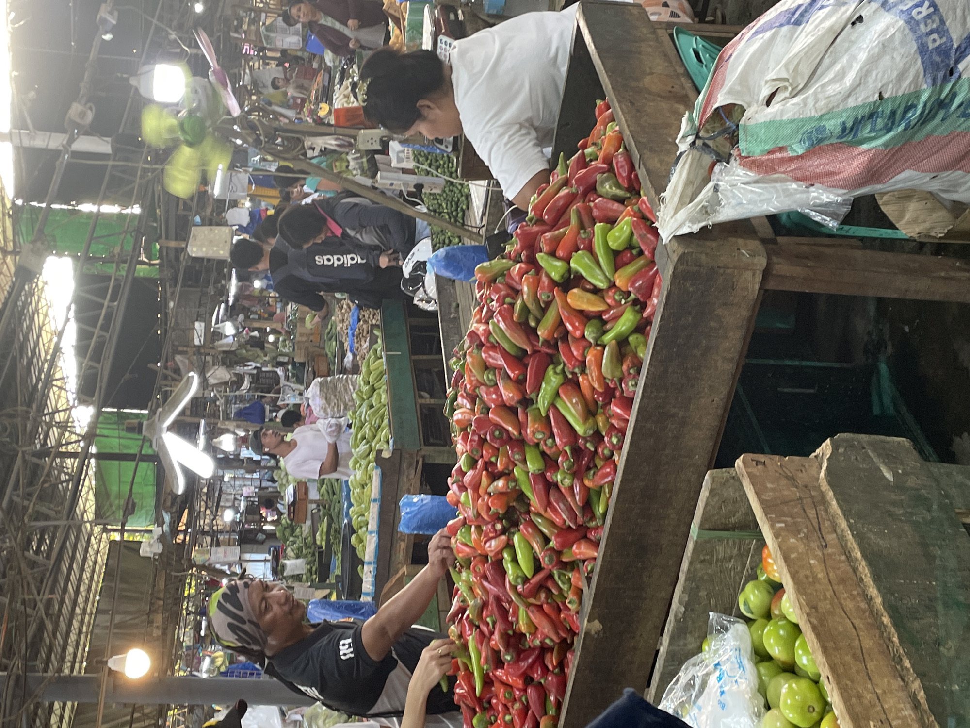 This image depicts an indoor produce market in Davao City, Philippines.
In the immediate foreground, a wooden crate on the left holds numerous round green fruits, possibly unripe tomatoes, with a translucent plastic bag placed on top. Directly adjacent, a large elevated wooden stall occupies the center, filled with a substantial pile of mixed red, green, and orange conical peppers.
To the left of the pepper stall, a male vendor is partially visible, wearing a dark short-sleeved shirt with white accents and a camouflage-patterned bandana. His right arm and hand are extended over the produce, engaged in sorting or arrangement. A customer's hand is visible near the peppers, reaching towards the produce.
To the right of the pepper stall, a female vendor is seated, facing left, with her back partially towards the viewer. She wears a plain white short-sleeved shirt. A large, partially torn white woven sack with red, green, and blue stripes rests on the floor next to her stall.
In the midground, beyond the central pepper display, multiple wooden stalls are visible, displaying abundant quantities of green vegetables, possibly chayote or similar gourds. Several individuals are present in this area, some appearing to be vendors and others shoppers. One male in a white t-shirt and dark cap stands near a stall, and another individual wearing a black shirt and an "adidas" backpack is also visible.
The market features a visible metal truss roof structure. Multiple artificial light sources are suspended from the ceiling, including standard bulbs and distinctive multi-bladed, fan-like light fixtures. A green ceiling fan, in motion, creates a blurred effect. Sections of green fabric are draped within the overhead structure. The overall environment is well-lit and appears busy.
