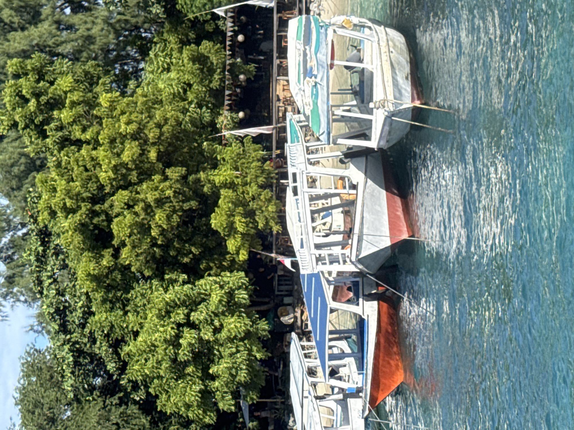 The image captures a serene, sunlit coastal scene with three boats moored in clear, blue-green water. The perspective is slightly elevated, looking down towards the water and shoreline.
On the left side of the frame, a dense wall of lush, vibrant green trees lines the shore, suggesting a tropical or forested environment. Behind these trees, in the mid-ground, dimly lit structures or buildings are visible, adorned with decorative triangular flags or bunting and what appear to be hanging lights or lanterns. These structures suggest a resort, restaurant, or guest area.
Dominating the right side of the image are the three traditional-style boats, neatly lined up and facing towards the right. Each boat features a white hull, often with brightly colored accents; the closest boat has a prominent reddish-orange bow, while others have blue or teal coverings. They appear to be small passenger or tour boats, each equipped with a roof or canopy for shade and open sides. Ropes extend from the boats into the water, securing them.
The water itself is calm with gentle ripples, reflecting the clear blue sky and allowing visibility into its depths. No specific human activity is clearly discernible, though the boats seem ready for use, implying a potential for tourism or transport. The bright light and absence of harsh shadows indicate it is daytime, likely during good weather. There is no visible text in the image. The scene conveys a peaceful, idyllic atmosphere, consistent with a tropical island setting like Indonesia.