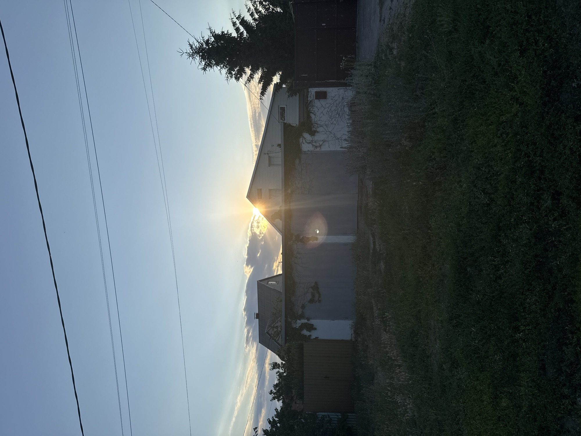 This is a horizontal, eye-level, medium shot of a residential property at sunset in Zaporizhzhia, Ukraine. The sun is setting behind a white, two-story house, casting a bright lens flare onto a garage and the sky. The garage doors are light gray, and ivy is growing on the wall of the garage. To the left of the garage, there is a wooden fence and some trees. To the right of the garage, there is a large evergreen tree and a dark metal gate. The sky is a light blue, with some wispy clouds. The foreground is filled with tall grass and weeds. The scene appears to be peaceful and quiet, with no people visible.