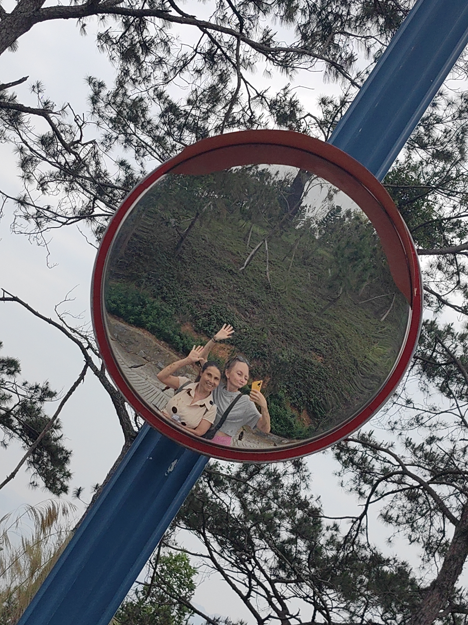 A joyful "mirror selfie" captures two women reflected in a large, circular convex safety mirror. The mirror, outlined with a bright red frame, is affixed to a robust blue pole that angles diagonally across the upper right section of the image.
Within the distorted reflection of the mirror, two smiling women are prominently featured. The woman on the left, with dark hair and a light-colored shirt adorned with dark polka dots, waves cheerfully with both hands. Beside her, a woman with shorter, lighter hair, dressed in a grey t-shirt, holds a yellow smartphone up, appearing to be taking the selfie. Both women exhibit happy and engaged expressions. The reflected background inside the mirror shows a vibrant green hillside densely covered with foliage and hints of earthy tones, suggesting a natural, possibly rugged, landscape.
The actual background outside the mirror is dominated by the intricate network of dark branches and thin needles of pine trees, set against a bright, overcast sky. The soft, diffused light indicates a daytime scene, likely under cloudy weather conditions. The presence of a safety mirror suggests a road or path with a curve or blind spot, often found in hilly or winding areas. This setting aligns with the geographical context of Hong Gai Ward, Vietnam. No discernible text is visible in the image.