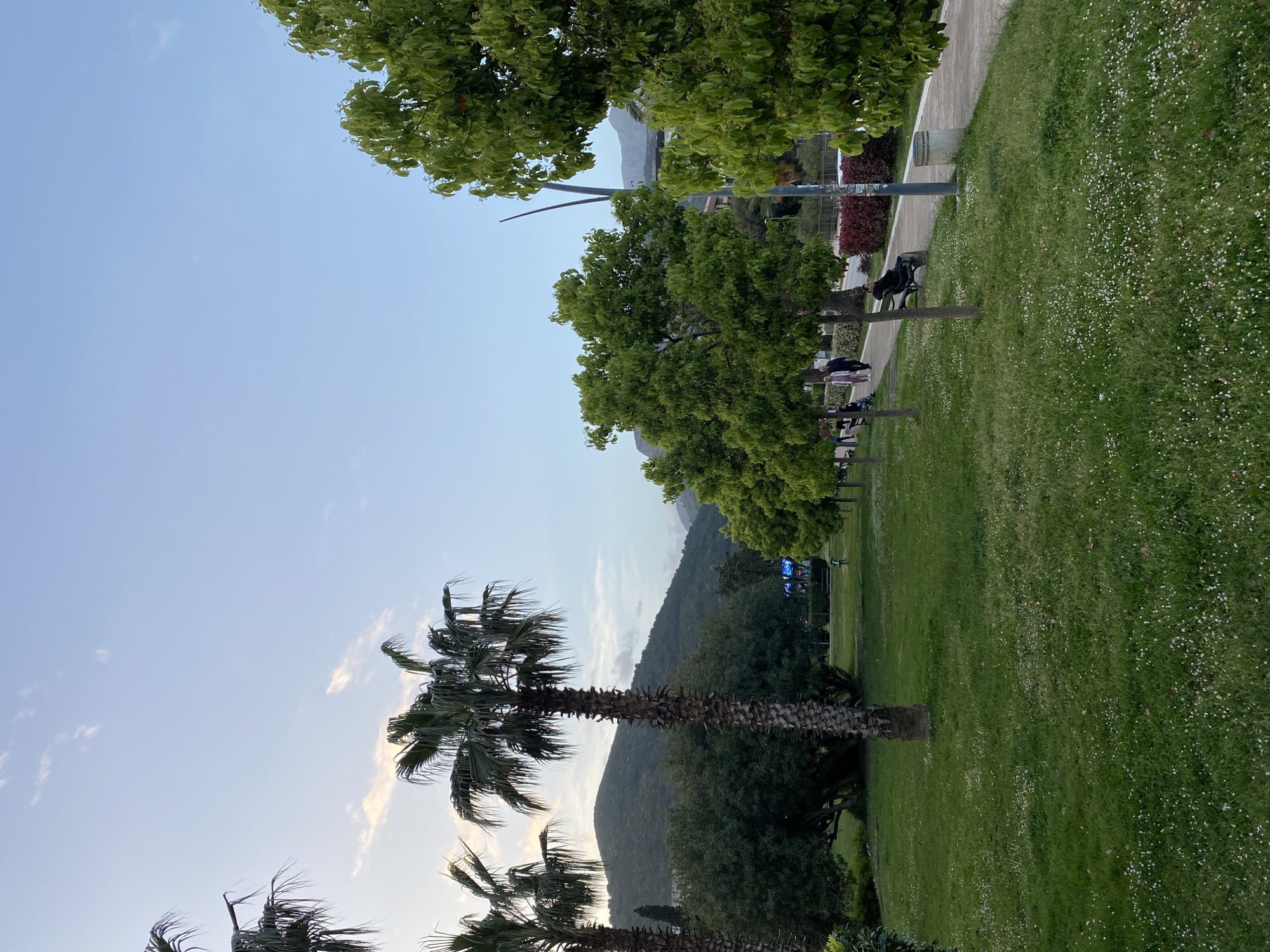 The image shows a park in Budva, Montenegro. There is green grass with white flowers, and there are palm trees. There are deciduous trees, mountains, people sitting on benches and a light pole. The sky is blue.