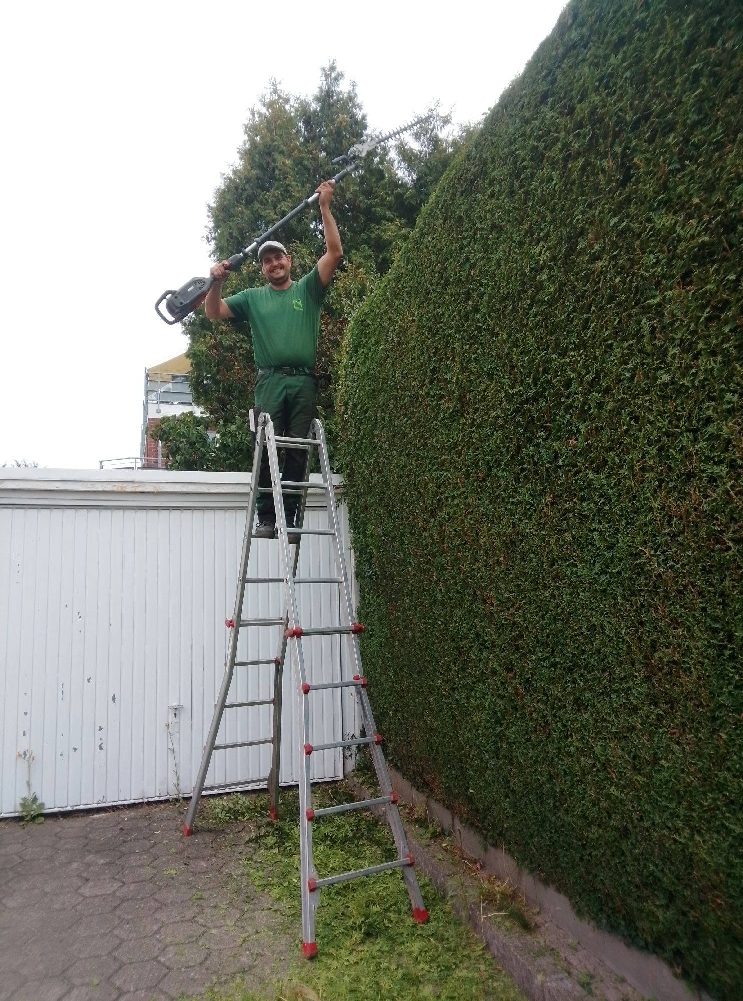 A male gardener, wearing a green t-shirt and green trousers, stands on a silver A-frame ladder, holding a pole hedge trimmer above his head. He is smiling and looking at the camera. The ladder is positioned in front of a tall, dense green hedge. To the left of the hedge and ladder, there is a white ribbed garage door. The ground is covered with paving stones and cut grass clippings. In the background, a few trees and a building are visible. The scene appears to be a residential area in Wedel, Germany, on a cloudy day.