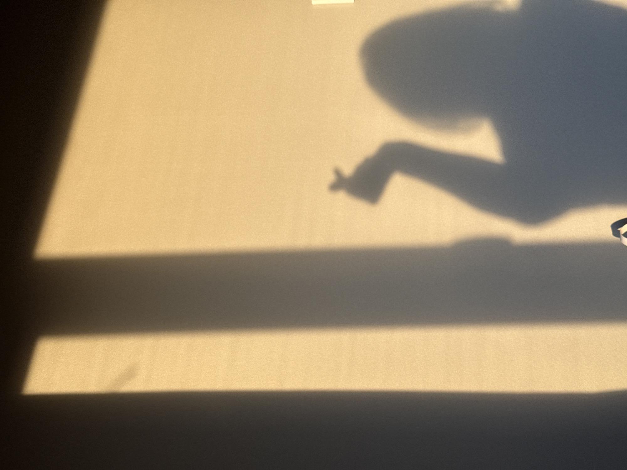 The image shows a tan wall with shadows. Two distinct horizontal shadows suggest window bars or slats blocking light. On the upper right is a larger, amorphous shadow resembling a person's head and arm, with the hand appearing to make a small heart gesture. The location of Chaikovsky, Russia, is not ascertainable from the visual information provided in the image.