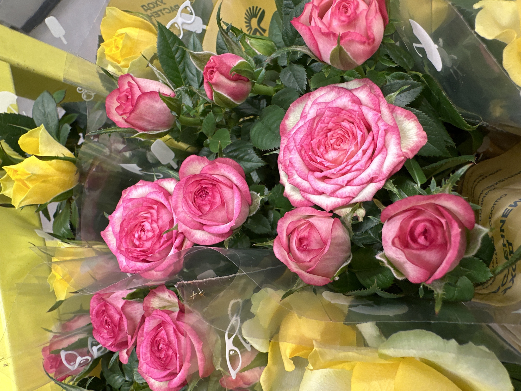 This close-up, high-angle view captures a vibrant bouquet of fresh roses, likely presented for sale or as a gift in Omsk, Russia. The primary subjects are numerous pink roses with distinct white-edged petals, varying from fully open blooms to tightly closed buds, and several bright yellow roses. The flowers are arranged with abundant green foliage and thorns visible on the stems.
The bouquet is wrapped in multiple layers, including transparent plastic film that causes some reflections, and a bright yellow paper or cardboard backing. A section of light brown, textured paper with text is also visible on the right.
No specific activity or event is taking place; it is a static image of a floral arrangement.
Notable details include several small, white decorative cutouts tucked among the flowers, resembling eyeglasses or sunglasses, a popsicle stick, and possibly scissors. The flowers appear fresh and in good condition. The lighting suggests an indoor setting, possibly a flower shop or market.
Visible text includes partial Cyrillic characters on the yellow wrapping, such as "ДОХУ" and "ТЭТАЯ". On the brown paper wrapping, faint Cyrillic text is discernable, including words like "эмобом" and "HINEW", alongside fragments that resemble "ШТАБЫ".