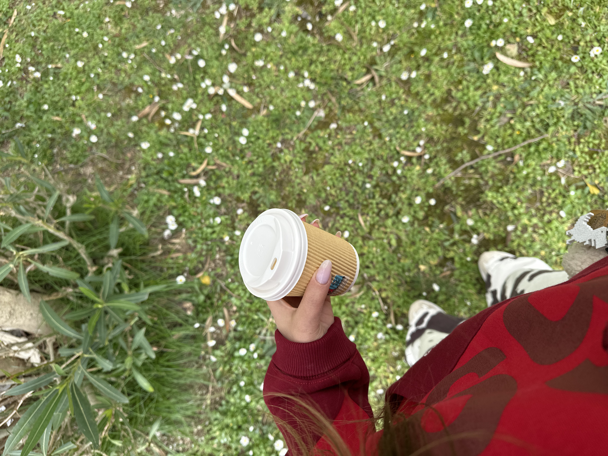 The image shows a first-person view of a person holding a paper coffee cup with a white plastic lid. The person is standing outdoors on a lawn with green grass and small white flowers. The person is wearing a maroon sweatshirt and black and white sneakers. The location is likely outdoors in a natural area, possibly within Šušanj, Montenegro, given the prompt.