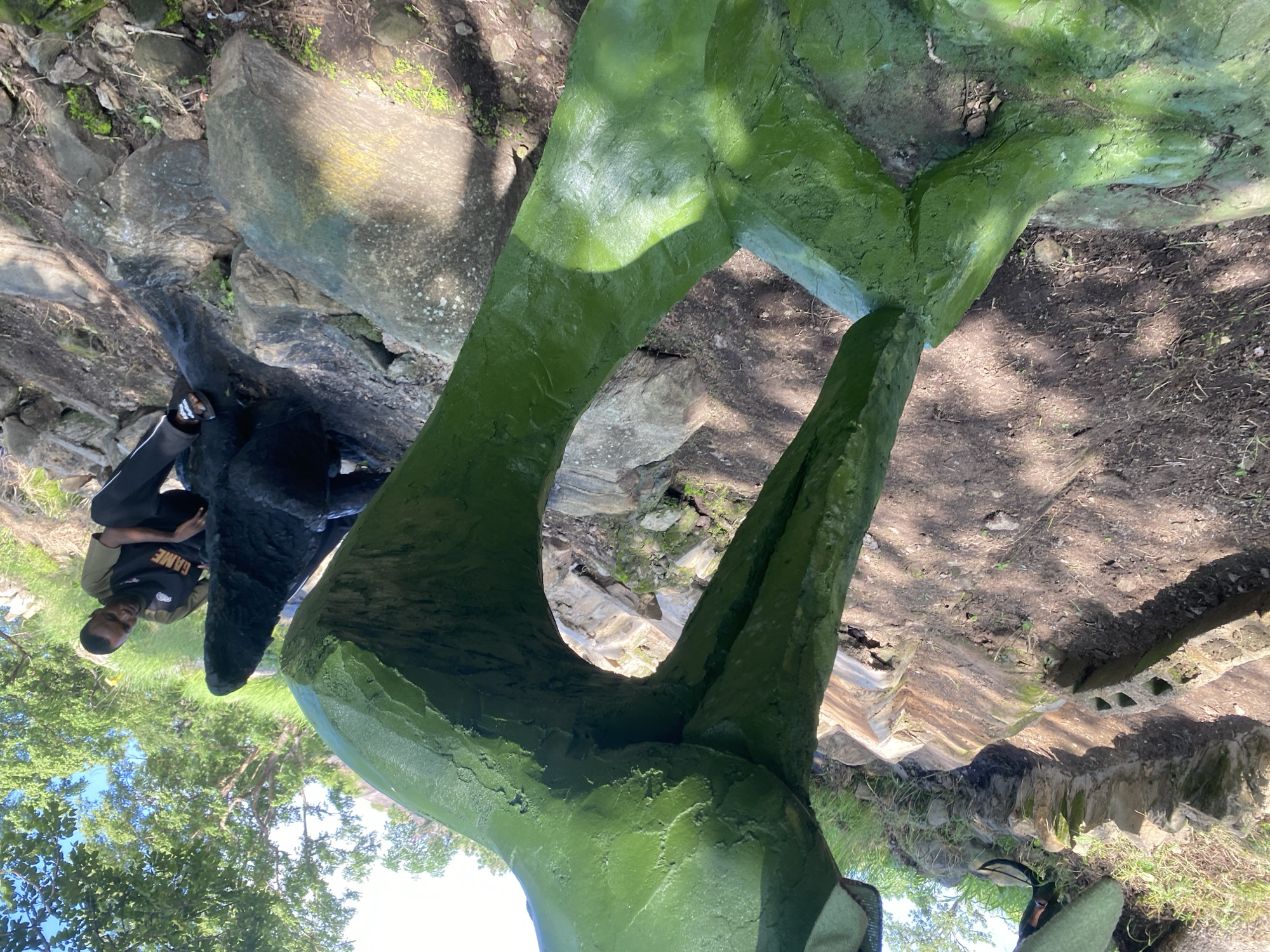 In this media file, a person sits near a large, green, sculptural object in an outdoor setting. The person, a young Black male wearing a black shirt with "GAME" visible in white lettering and black pants, is seated with their legs crossed. They are looking towards the camera with a neutral expression. The sculpture appears to be made of concrete and is painted a bright green. It has a smooth, textured surface and its form is abstract, with large, curved sections. The scene is set outdoors, with natural elements like rocks, dirt, and trees visible. Sunlight filters through the trees, creating dappled shadows on the ground. The overall impression is one of a casual outdoor activity, possibly a visit to a park or public art installation. The time of day appears to be daytime, with bright sunlight. The weather seems pleasant, given the outdoor setting and the presence of lush green foliage.