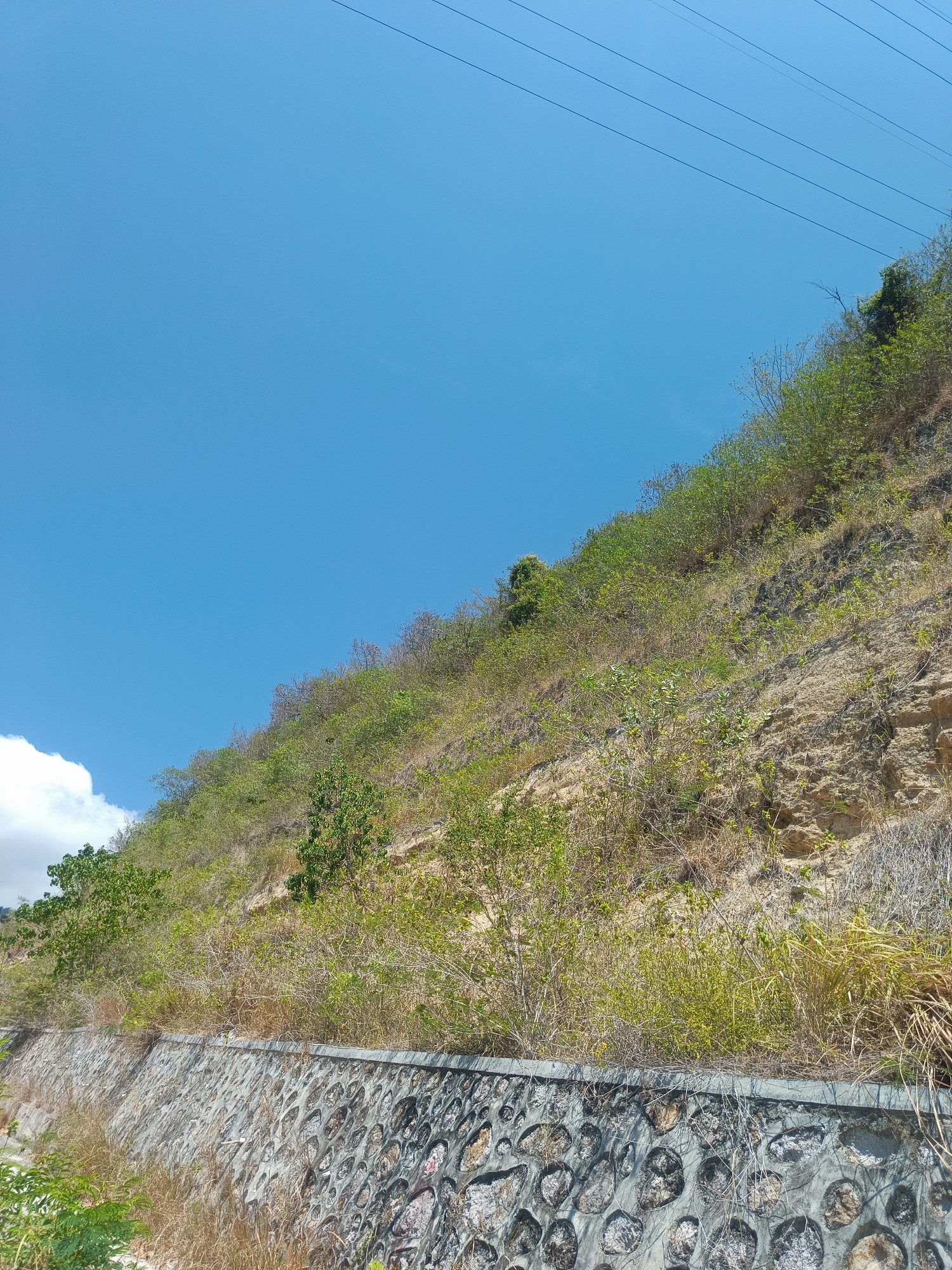 This image depicts a steep, grassy hillside adjacent to a rock wall and a bright blue sky with power lines overhead. The hillside is covered in sparse vegetation, including dry grasses and some green bushes and trees. The rock wall at the base of the hill is constructed from irregular stones embedded in concrete. The scene appears to be an outdoor, natural environment, possibly on the outskirts of a city. Given the context provided, this scene is located in Gorontalo, Indonesia.