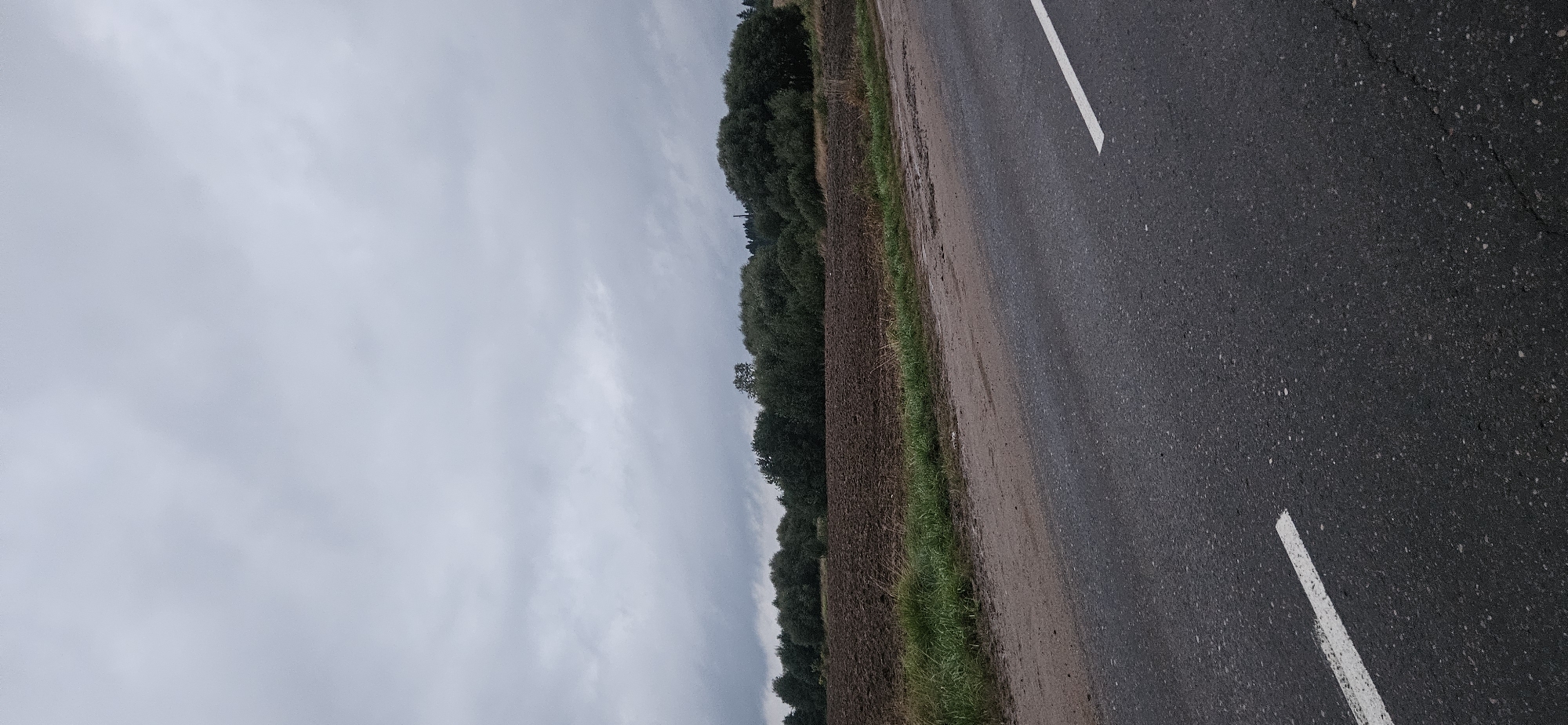 An overcast day is depicted with a wide asphalt road in the foreground, featuring a white line marking. Adjacent to the road is a dusty dirt shoulder, transitioning to a strip of green grass, and then a brown cultivated field. Beyond the field, a dense line of dark green trees forms a natural border, with a few taller trees interspersed. The sky is filled with thick, grey clouds, creating a somber atmosphere. The scene appears to be a rural landscape, possibly on the outskirts of Liozna, Belarus, characterized by agricultural land and a paved road. No people or vehicles are visible.
