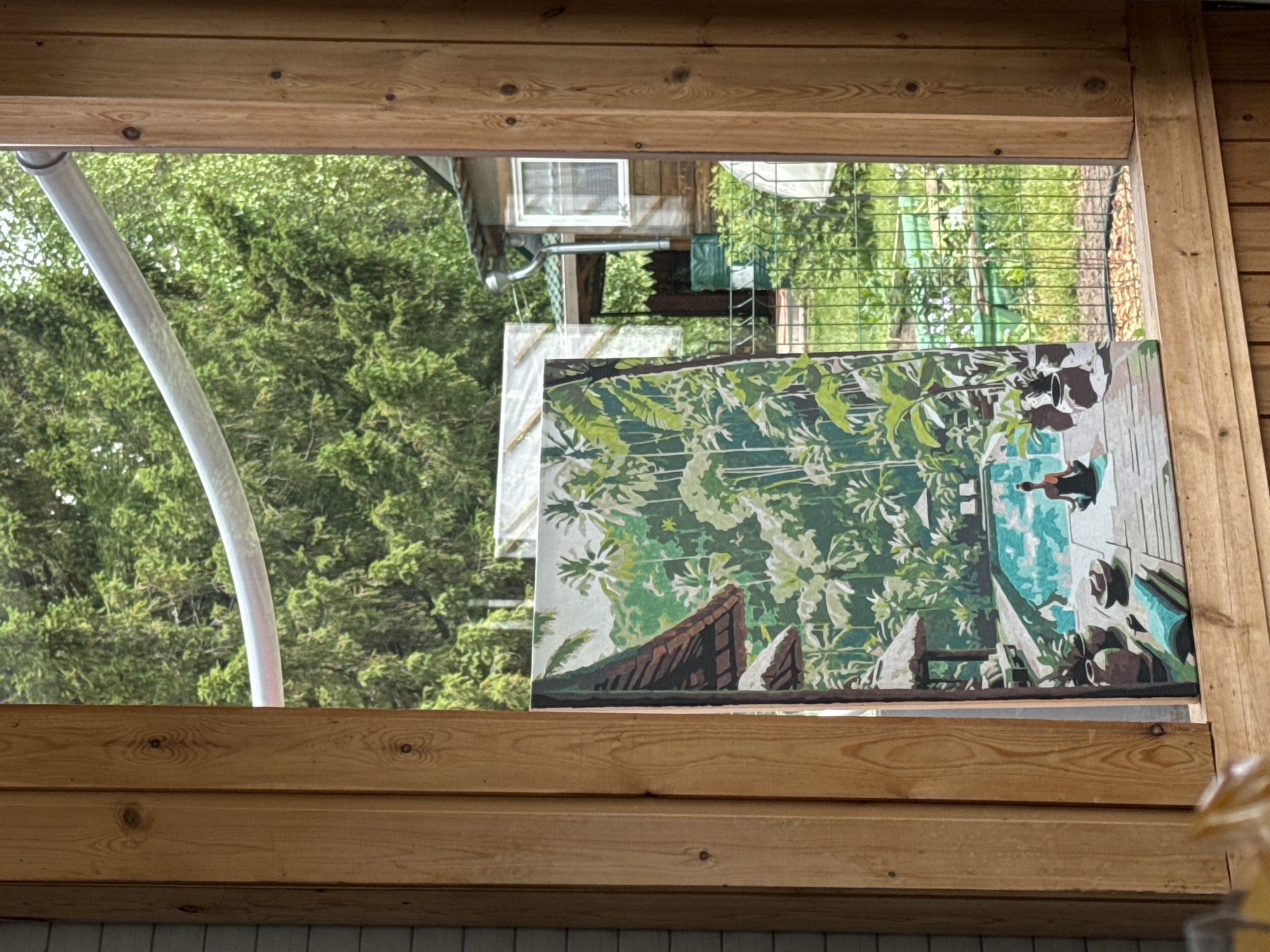 The image shows a view through a wooden frame, possibly a window or doorway, into a backyard setting in Malaya Kuskunka, Russia. The foreground features a large painting, propped up against a surface. The painting depicts a tropical scene with a swimming pool, lush greenery including palm trees, and a person meditating by the pool. Beyond the painting, a green metal fence encloses a yard with more vegetation, a small wooden building with a window, and a green barrel. Tall green trees are visible in the background, and a gray pipe runs diagonally across the upper part of the frame. The lighting suggests it is daytime, with sunlight filtering through the leaves.