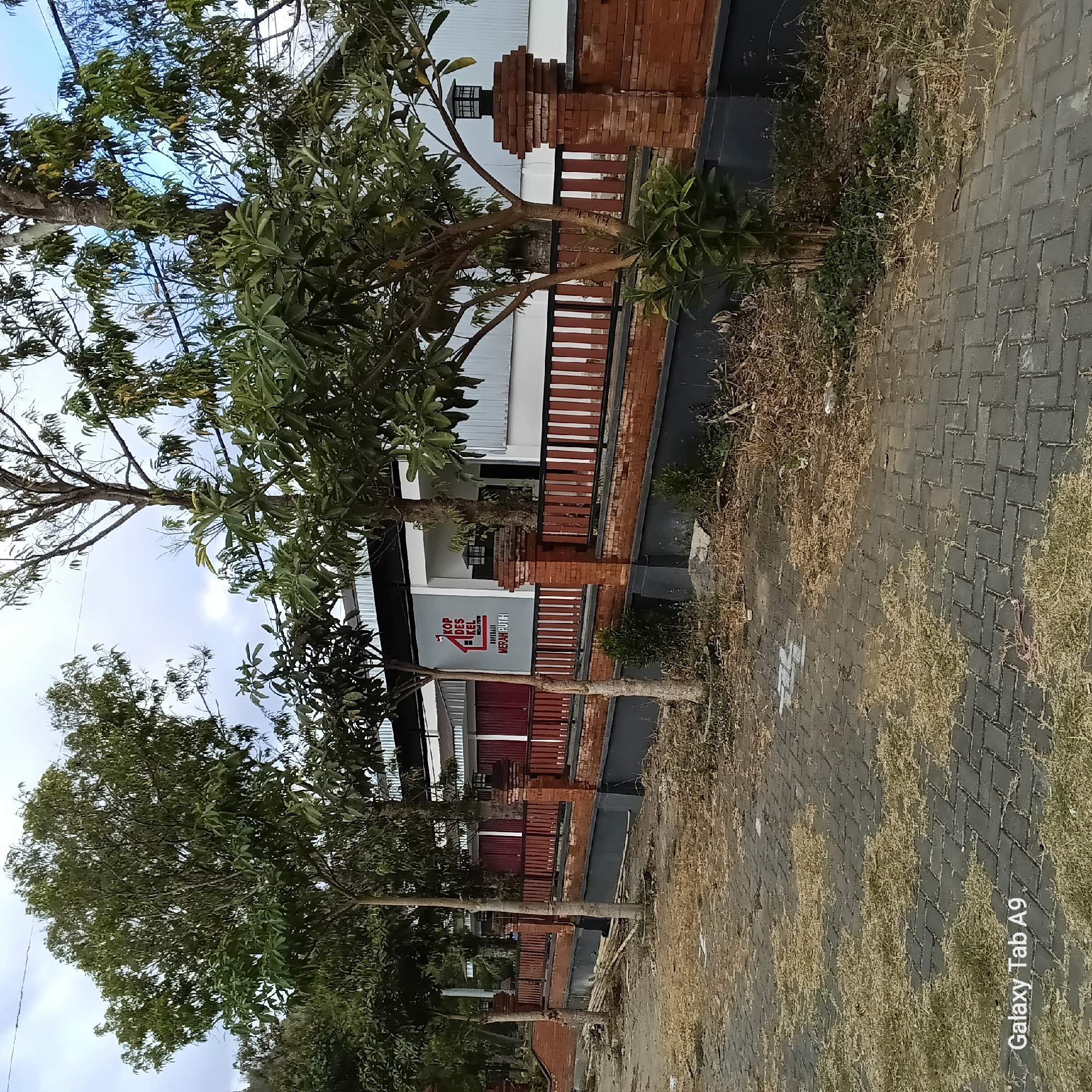 The image depicts a street scene in Bendorejo, Indonesia. A paved walkway made of interlocking gray bricks leads towards the foreground. Dry grass and sparse vegetation are scattered across the walkway and the adjacent ground. A brick wall with a dark gray base and a reddish-brown brick fence with black railings runs along the side of the property. Several trees with green foliage are planted behind the fence.

A white building with a dark roofline is visible behind the fence. A sign with red lettering that reads "KOP DES KEL MERAH PUTIH" is affixed to the building. The building has large sliding doors or garage doors, some of which are closed and appear to be dark red. Outdoor light fixtures are mounted on brick pillars along the fence. The sky is overcast. The bottom left corner of the image shows the text "Galaxy Tab A9".