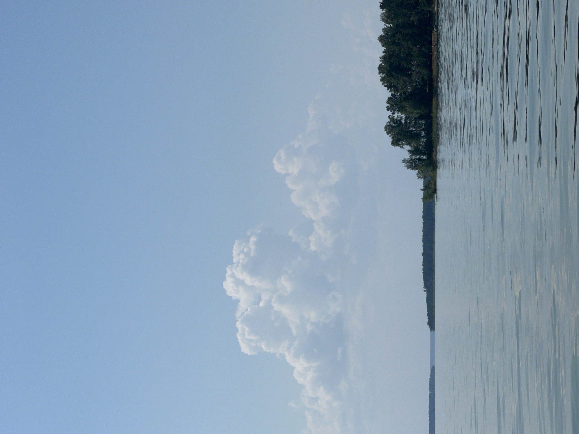 The image depicts a serene lake with a tree-lined shore. The sky is a light blue with scattered white, puffy clouds. The water is calm, with gentle ripples reflecting the sky and trees. On the right side of the image, a dense forest with dark green foliage stretches along the horizon. The far left of the image shows a distant, darker treeline across the water. No people or specific structures are visible in the scene, suggesting a natural landscape. The image captures a peaceful, outdoor environment.