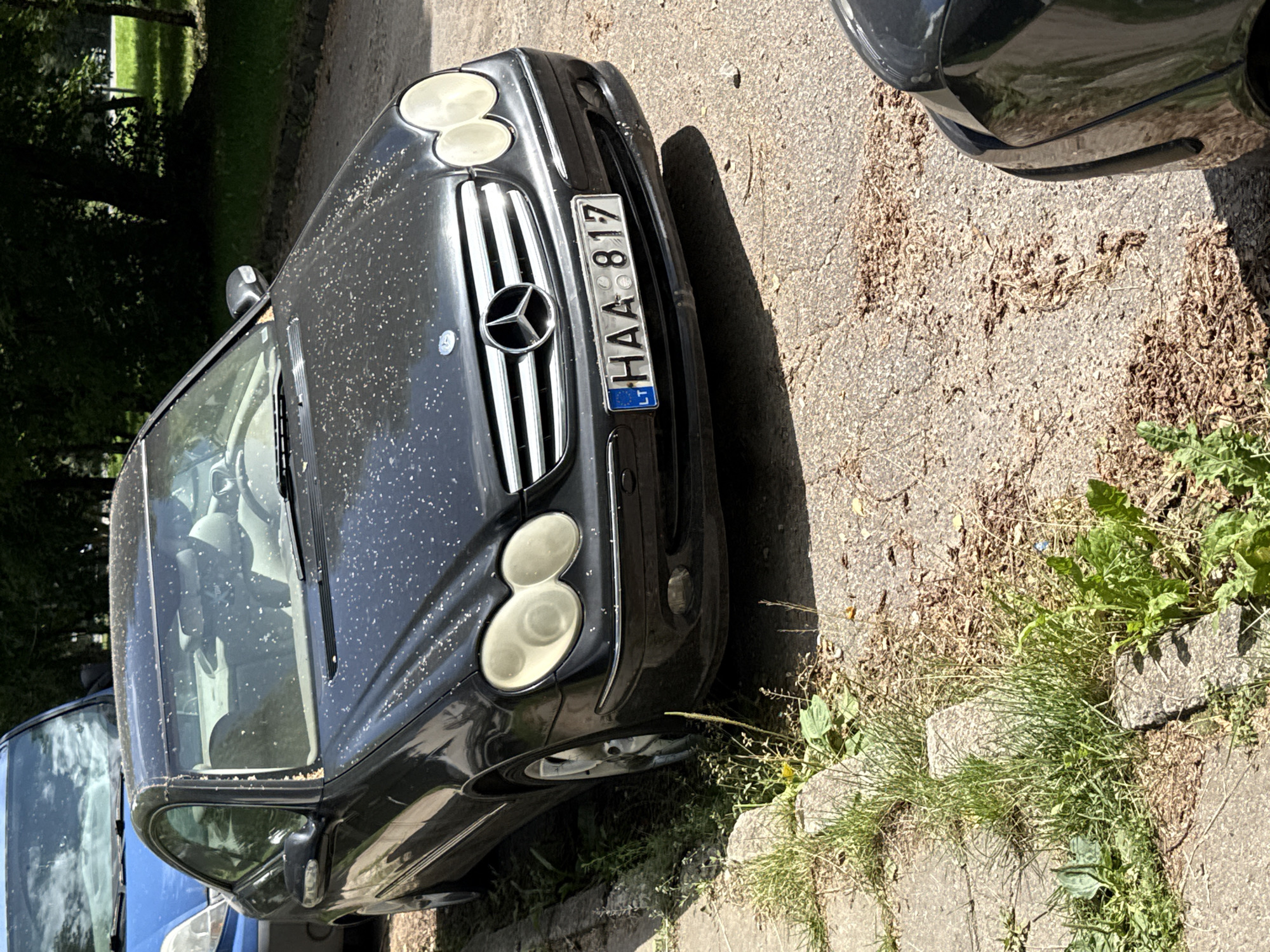 A black Mercedes-Benz CLK-Class coupe, license plate HAA 817, is parked on a paved street in Rudamina, Lithuania. The car's hood and windshield are covered in a light dusting of pollen or debris. The vehicle is positioned close to a curb with overgrown grass and weeds. A blue van is parked in front of and slightly to the left of the Mercedes. The street surface is asphalt, with scattered leaves and debris. The environment appears to be an urban or suburban area with trees visible in the background. The lighting suggests it is daytime.