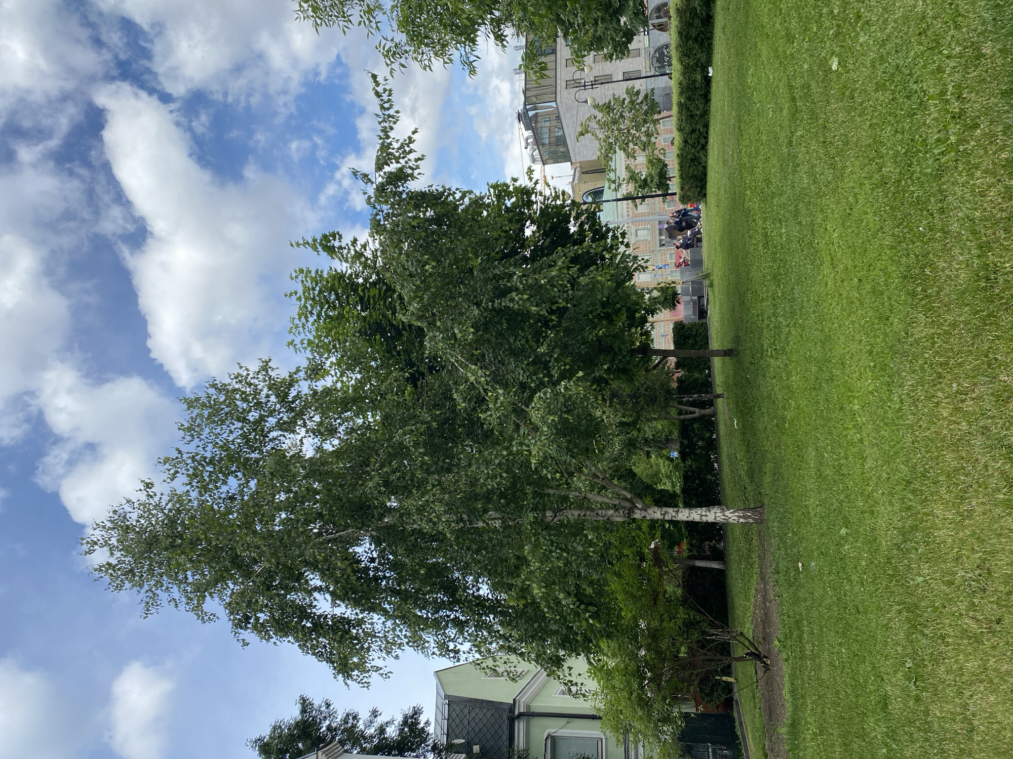 The image depicts a park scene in what is likely Moscow, Russia, given the style of architecture in the background. A well-maintained green lawn takes up a significant portion of the frame. Several deciduous trees, including birch trees with their characteristic white bark, are present. In the background, buildings of varying heights and architectural styles can be seen, some appearing to be residential or commercial buildings. There are people in the background, and they look like they are seated and talking. Above, a blue sky with scattered white clouds is visible. The overall atmosphere is bright and appears to be daytime.