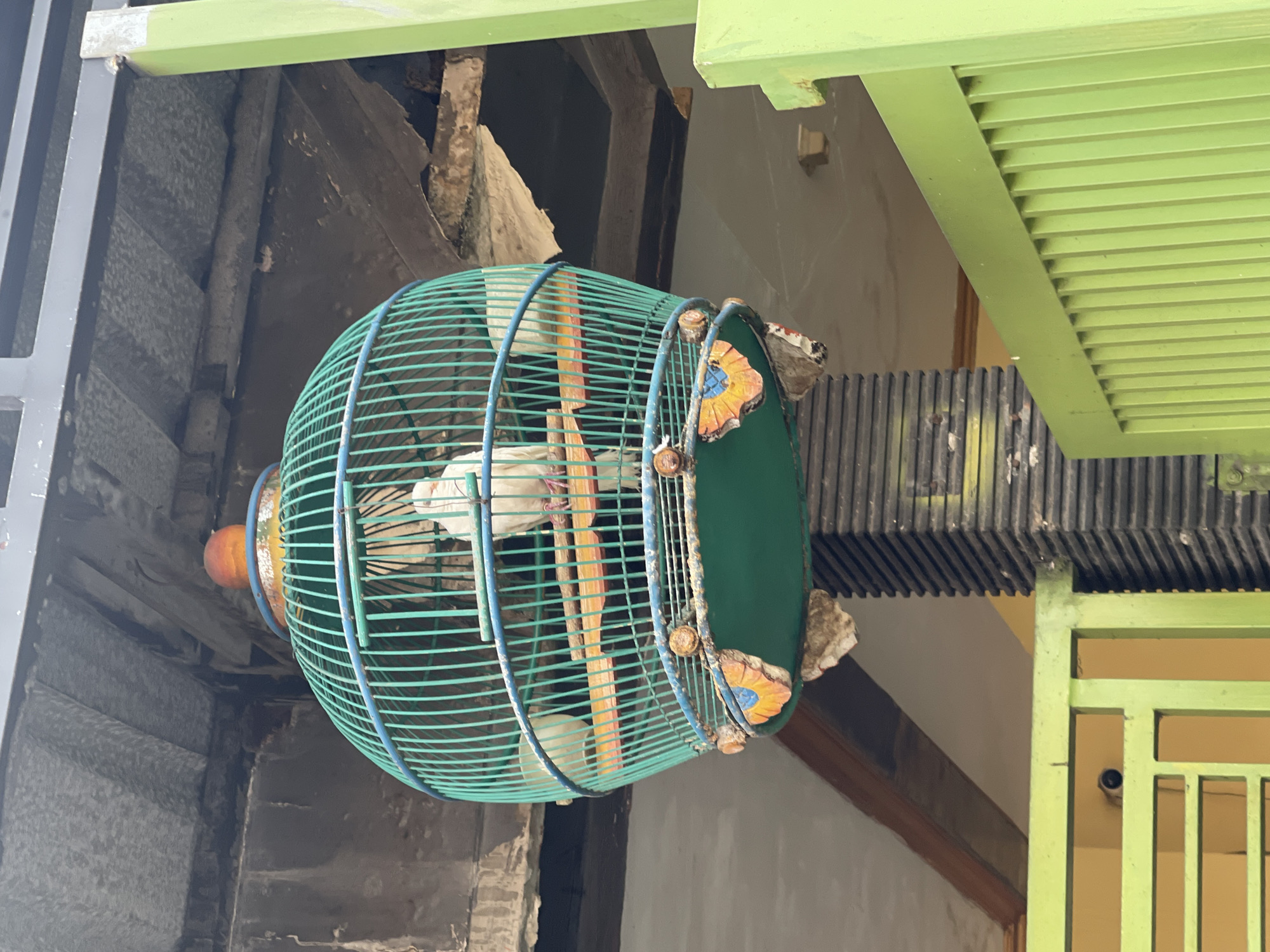 A close-up, eye-level shot shows a round, teal-colored birdcage hanging from a ceiling. The cage has a blue rim and a decorative orange ball on top. Inside the cage, a white bird stands on a wooden perch. The cage is decorated with colorful, butterfly-like designs on its lower section. The background reveals a weathered, outdoor environment with concrete structures and a bright green fence in the foreground. The image appears to be taken in the city of Sugih Waras, Indonesia.