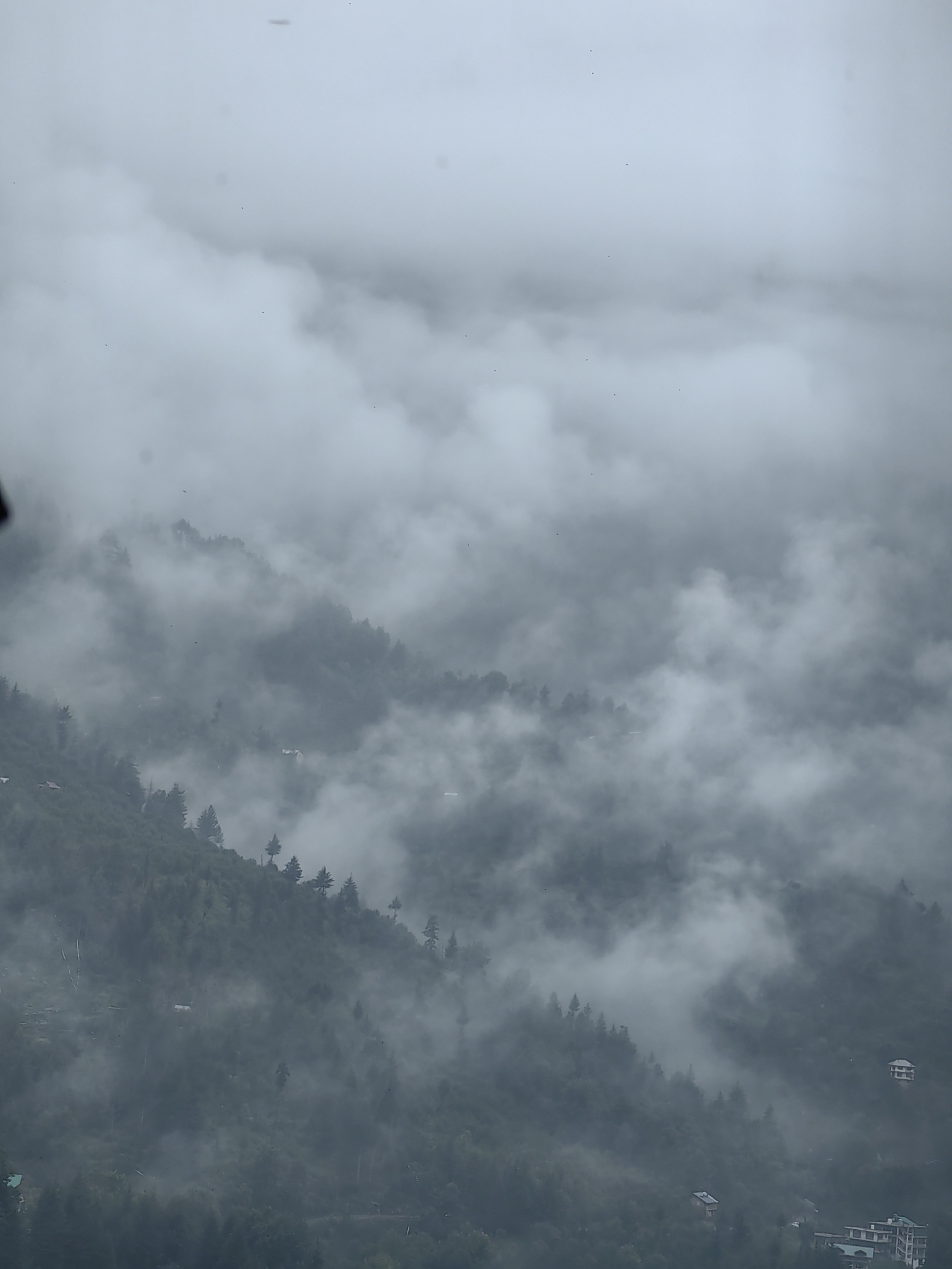 An aerial, high-angle, vertical shot captures a mist-shrouded mountainside in Vashisht, India. The scene is dominated by dense fog and clouds that obscure much of the landscape, creating a monochromatic, ethereal atmosphere. The slopes are covered in a thick forest of evergreen trees, their dark green forms contrasting subtly with the lighter grays of the fog. Scattered among the trees are several small, white buildings, likely homes or guesthouses, some of which are partially hidden by the mist. The overall impression is one of a remote, natural environment enveloped in atmospheric conditions.