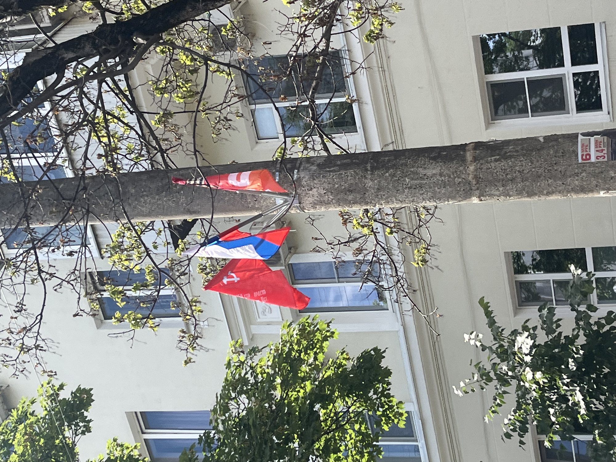 This image captures a street scene, likely in Krasnodar, Russia, featuring a display of flags hanging from a pole against a building facade and tree foliage. The time of day is bright and sunny, with sunlight illuminating the scene and casting shadows, suggesting mid-day or afternoon.
The primary subjects are three flags attached to a tall, rough-textured pole, possibly made of concrete or wood. From top to bottom, the flags are: a red flag bearing the white hammer and sickle emblem, characteristic of the Soviet Union; a white, blue, and red horizontally striped flag, which is the national flag of Serbia; and another red flag with white Cyrillic text, largely obscured but with visible fragments like "СТР" and "ОРАБС". The upper red flag also has some indistinct Cyrillic text, possibly including "ОКТЯБРЯ" (October).
In the upper right portion of the pole, a small white sign with red numbers and black Cyrillic text is visible. The numbers "6" and "3, 4" are discernible, along with the abbreviation "УЛ. С. АРМ.", which likely stands for "Улица С. Армии" (Street of Soviet Army) or a similar street name.
Behind the pole and flags, a light-colored (cream or white) building stands, featuring multiple rectangular windows that reflect the sky and surrounding trees. Various tree branches with green leaves, some still sparse, frame the scene, partially obscuring the building and adding a natural element. The combination of the Soviet-era and Serbian flags suggests a specific commemorative event, a political statement, or a celebration related to shared historical or ideological ties.