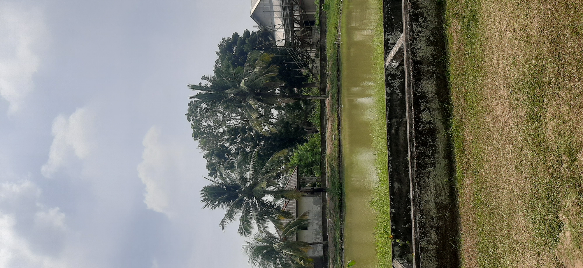 A vertical, medium shot captures a murky, shallow pond in Jambi, Indonesia, with a concrete retaining wall in the foreground and a grassy area beyond. Coconut palms and lush green trees border the pond, with a house and a building under construction visible behind them. The sky is overcast with scattered clouds.