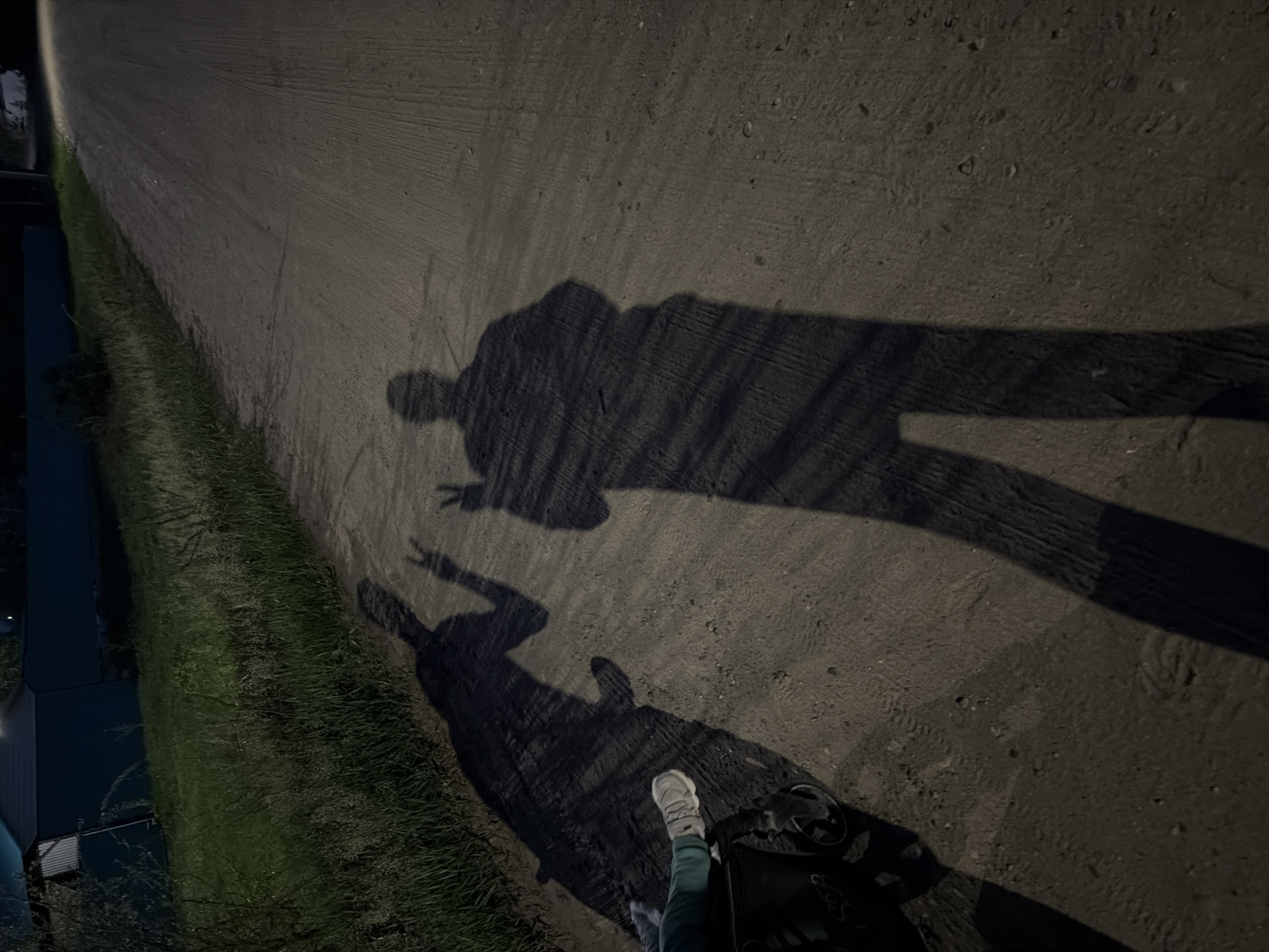 A first-person view angled toward the ground shows a person standing on a road or path with shadows cast ahead. The shadows appear to belong to two people, one of whom is throwing up a peace sign. The ground is a hard-packed dirt or gravel surface. To the left, there is a strip of grass and vegetation, with buildings visible in the distance. The scene is dark, suggesting nighttime. The location is not identifiable in the city of Chaikovsky.