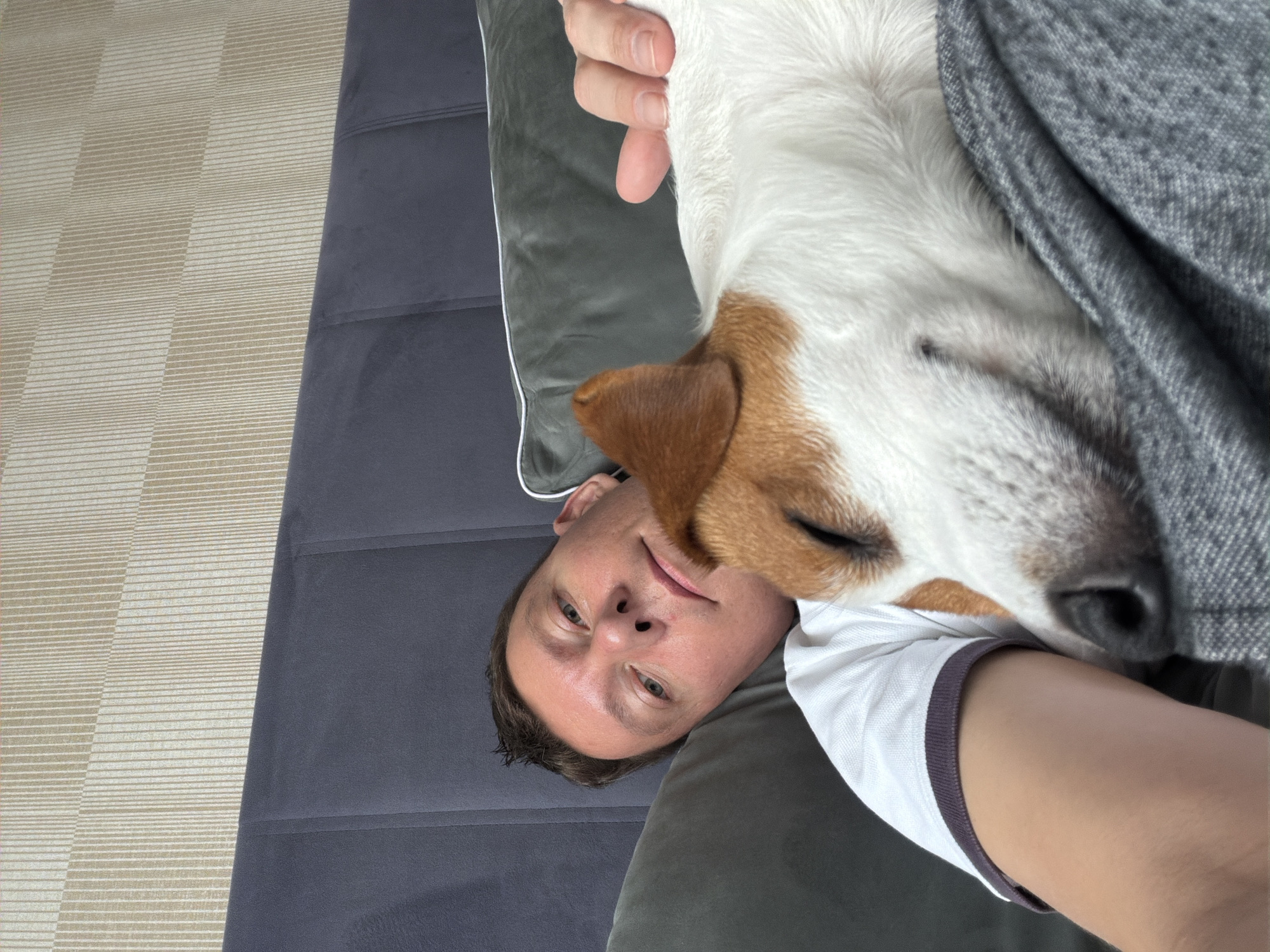 In a close-up, the image shows a man lying down with his head resting on a pillow, a small dog asleep on his chest. The man is wearing a white polo shirt with a dark collar. The dog is a Jack Russell Terrier, primarily white with brown markings on its head and ears. The background features a upholstered headboard of a bed and a patterned wallpaper. The scene is indoors, suggesting a domestic setting. There is no indication of the specific location within Moscow, Russia, or any other contextual information beyond what is visually present in the image.