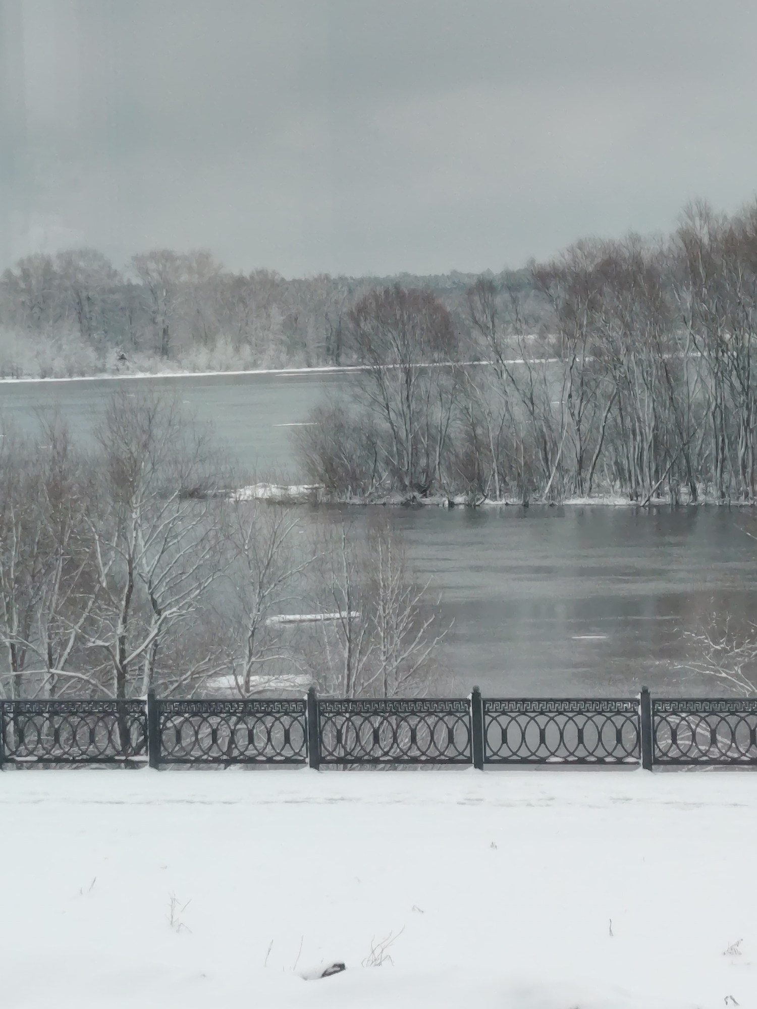 The image depicts a winter scene in Sarapul, Russia. A body of water, likely the Kama River, is visible in the middle ground. Bare trees line the riverbank, covered in snow. A decorative black metal fence runs across the foreground. Snow covers the ground in the foreground, obscuring any features other than a few small weeds or plant remains. The sky is overcast and gray, contributing to the overall cold and desolate atmosphere. There are no people visible in the frame.