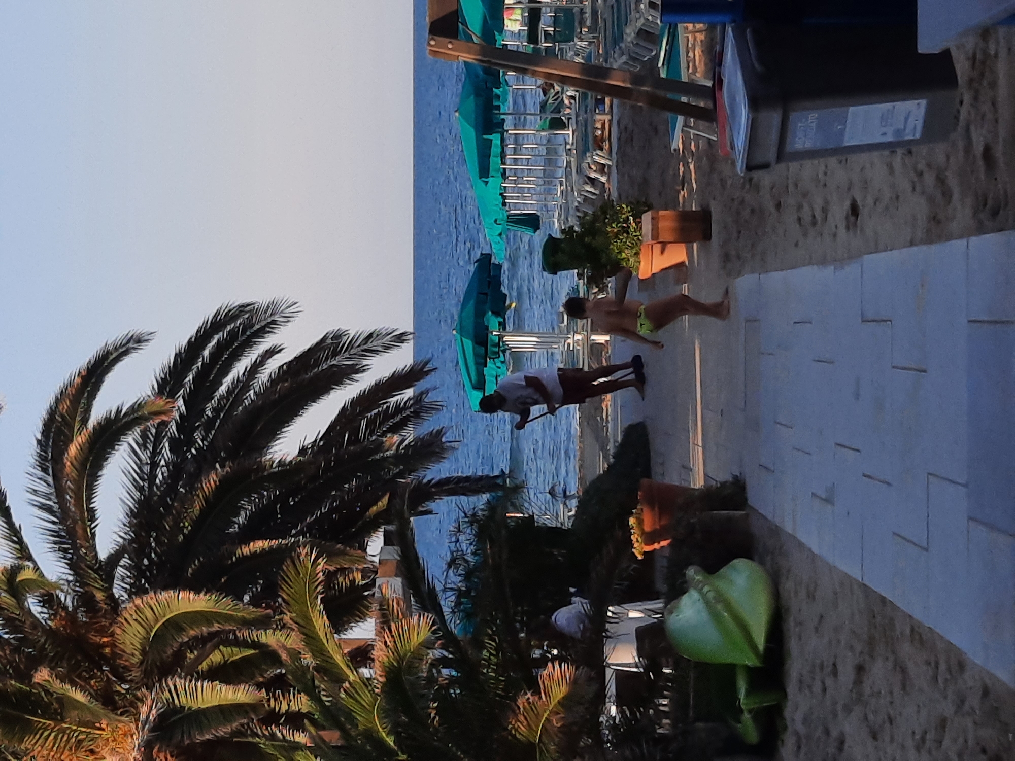 The image depicts a beach scene in Pesaro, Italy, with a focus on a pathway leading towards the sea. In the foreground, a palm tree with fronds is visible on the left. To the right of the pathway, a green trash bin is placed on the sand. Beyond the pathway, beach chairs and umbrellas are arranged. The sea stretches out in the background under a clear sky.
Two individuals are present in the mid-ground. A man, wearing a white t-shirt and red shorts, stands near the sea, holding a pole. A child, wearing green swimwear, is positioned on the sand, facing away from the viewer and towards the sea.
In the background, a seating area with tables and chairs is partially obscured by foliage. The overall atmosphere suggests a public beach during daytime.