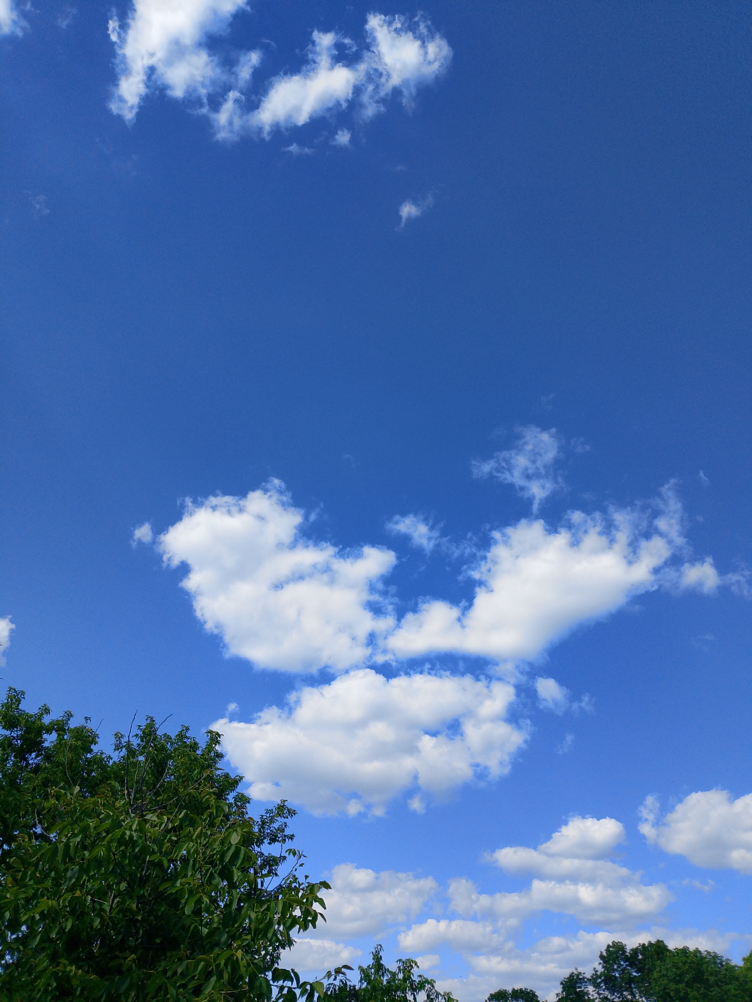 The image depicts a bright, sunny day with a clear blue sky filled with fluffy white clouds. In the foreground, the upper branches of a lush green tree are visible on the left side, with its dense foliage partially obscuring the sky. The clouds are scattered across the sky, with some appearing more prominent and voluminous than others. The overall impression is one of a serene and pleasant outdoor environment. The location is identified as Unknown, Unknown. There are no people or animals present in the image.