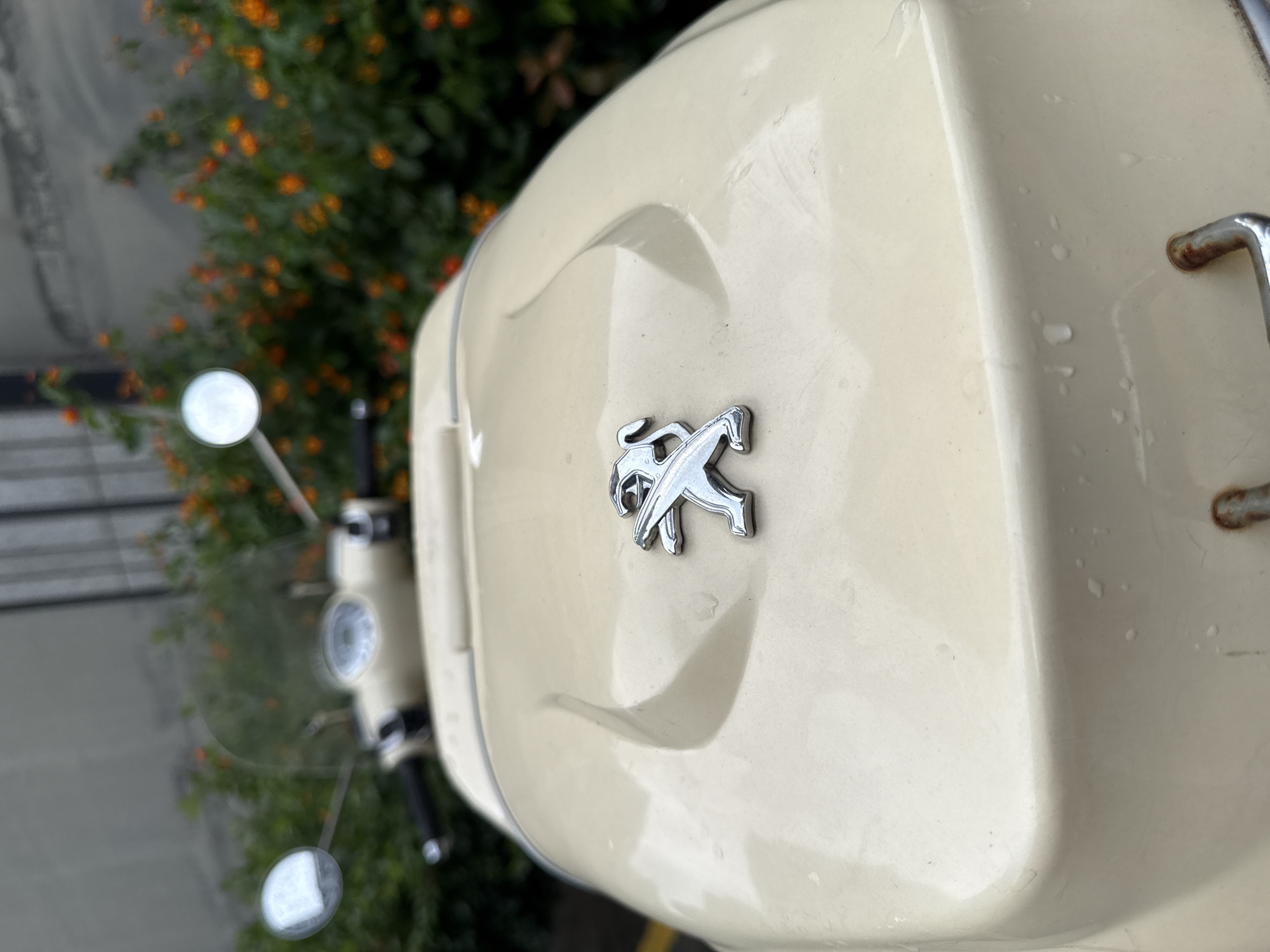This media file features a close-up, angled shot of a cream-colored scooter, likely parked outdoors. The scooter's bodywork is the primary subject, with a prominent, shiny chrome emblem of a stylized lion, the Peugeot logo, centrally placed on the front. Small water droplets are visible on the scooter's surface, suggesting recent rain or dew.
In the background, out of focus, are lush green foliage and clusters of small, bright orange flowers, hinting at a natural or garden-like setting. There are also some blurred elements that might be a pathway or street in the distance. The lighting suggests it could be daytime, possibly overcast given the lack of harsh shadows.
No people are visible in the frame. The overall impression is one of a static, detailed observation of the scooter's design and its immediate surroundings. The context of Yiwu, China, provides a geographical anchor. No visible text is present in the image.