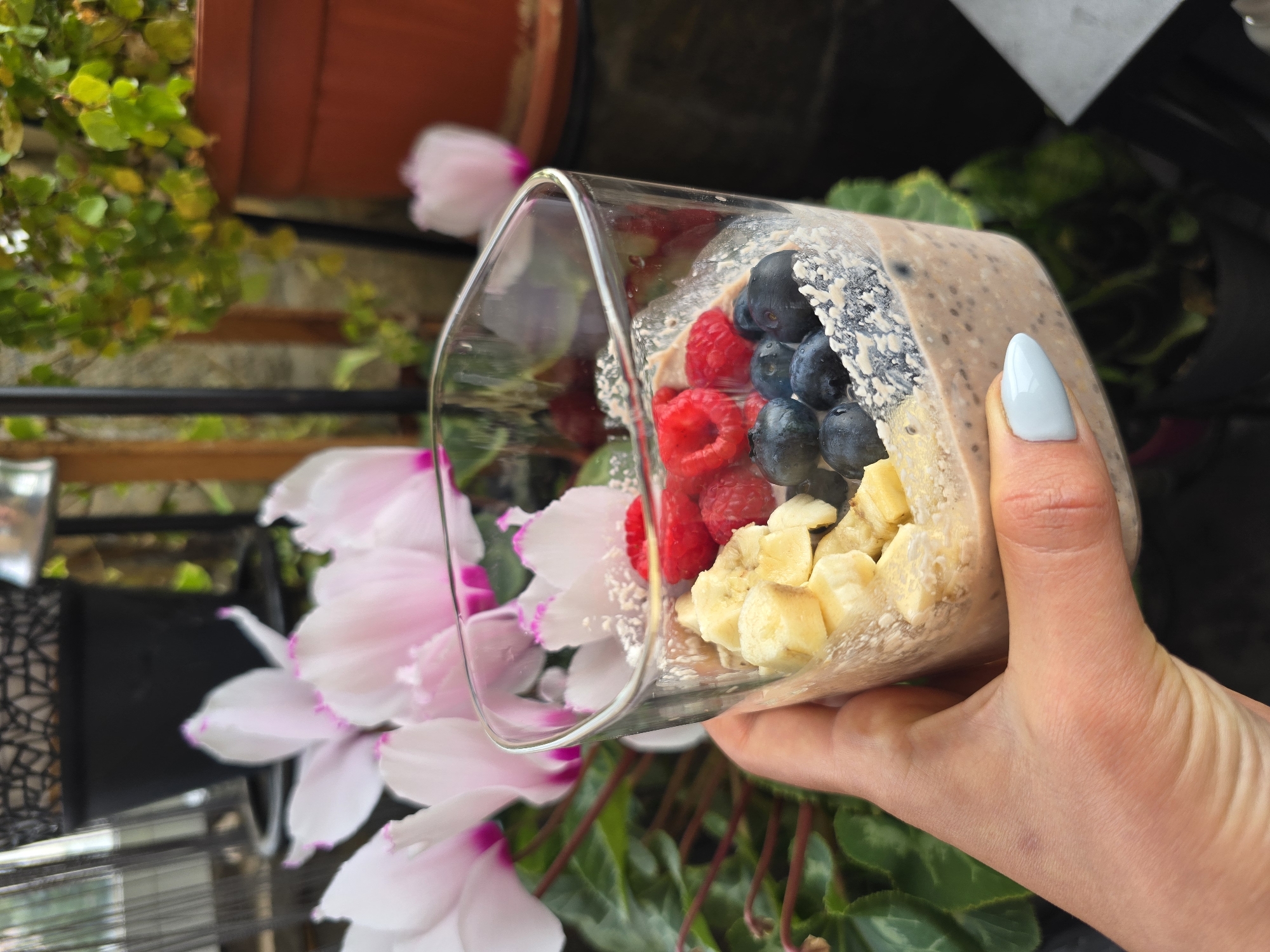 A close-up, eye-level shot shows a person's hand holding a clear glass filled with overnight oats and various fruits. The glass, positioned diagonally across the frame, contains a creamy, beige-colored oat mixture topped with fresh raspberries, blueberries, and diced bananas. White flecks, possibly from powdered sugar or desiccated coconut, are visible on some of the blueberries and the glass rim. The hand, with a light blue, almond-shaped fingernail on the index finger, gently grips the glass.
The background is an outdoor or semi-outdoor setting, possibly a balcony or garden, as indicated by the presence of multiple plants. To the left, a vibrant green leafy plant hangs from a brown pot, while in the lower half of the frame, several light pink and white cyclamen flowers with deep pink edges are prominently featured. Other darker green foliage is visible further in the background. A dark metal railing runs horizontally behind the flowers. The scene appears to be well-lit by natural daylight. No visible text is present. The overall impression is one of a healthy breakfast or snack enjoyed in a natural, serene environment in Burgas, Bulgaria.