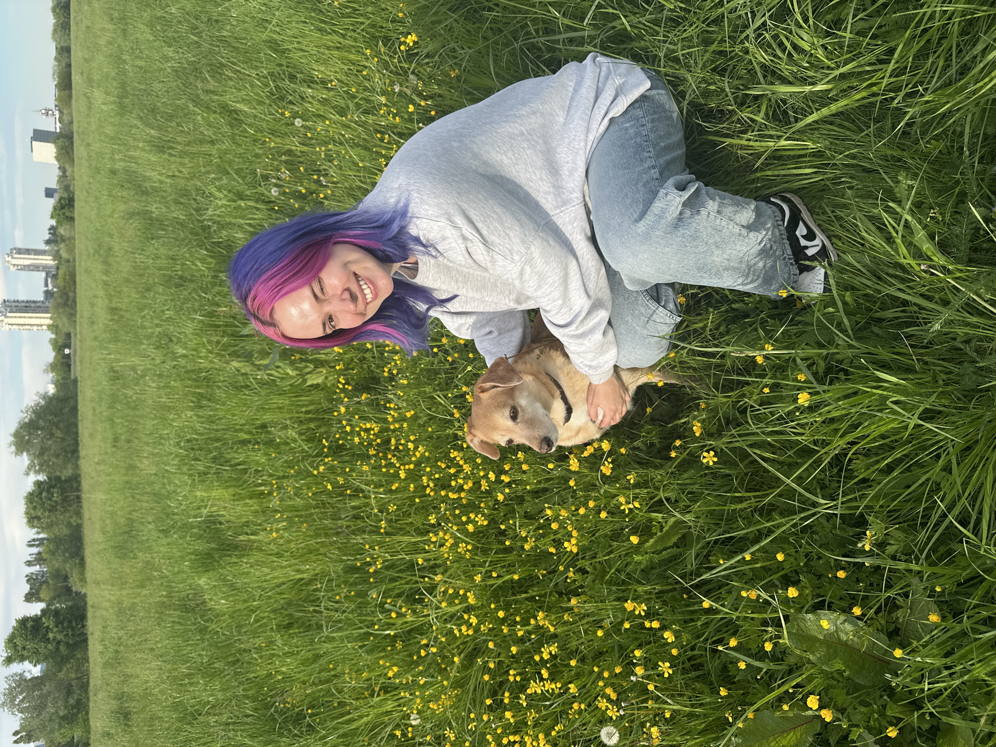 The image shows a cheerful scene in a lush green field on a bright, sunny day. A young person with vibrant purple and pink hair is kneeling in the tall grass, smiling broadly towards the viewer. They are wearing a light grey hooded sweatshirt, light blue jeans, and black and white sneakers. Their hands are placed gently on a medium-sized, light brown dog with floppy ears, which is lying in the grass near them and looking towards the camera.
The field is densely covered with green grass and numerous small yellow flowers, characteristic of buttercups, along with a few white dandelion seed heads. In the distance, a line of trees separates the field from a cluster of modern, tall buildings, suggesting an urban park or suburban natural area. The sky above is clear and bright, indicating good weather. The overall mood is joyful and affectionate, highlighting the bond between the person and their pet. No visible text is present. The location is the City of Zagreb, Croatia.