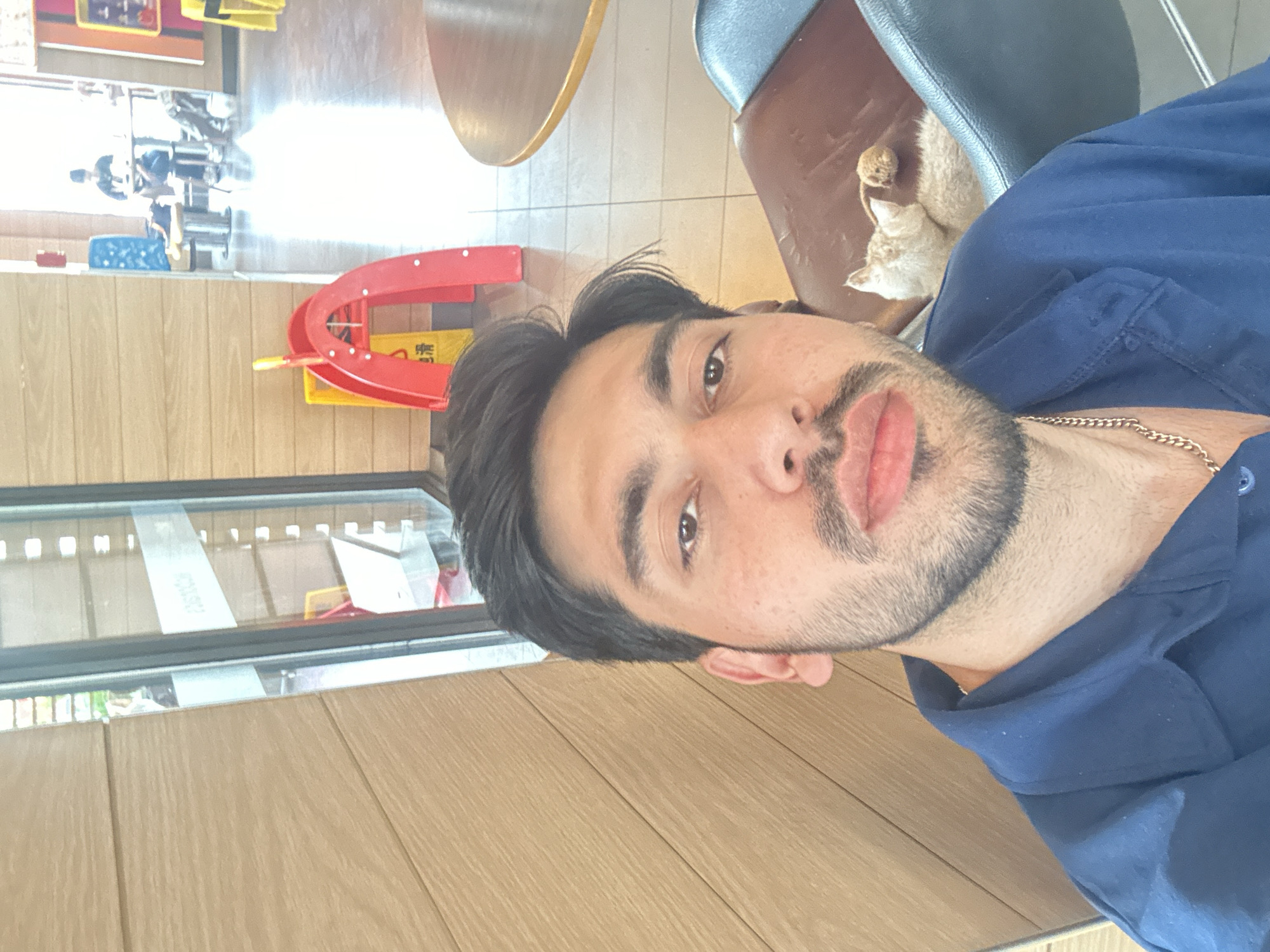 A young man is captured in a close-up selfie, angled to his right, indoors in what appears to be a commercial establishment within the Chongqing High-tech Zone, China. He has dark hair, a mustache and beard, and is wearing a dark blue collared shirt and a gold chain. His expression is neutral, looking directly at the camera.
Behind his right shoulder, a light-colored cat is seen resting comfortably on a brown and dark blue chair. The background features a mix of reflective surfaces and interior elements. To the left, there's a wooden-patterned wall or counter, and a glass display or window shows reflections of an indoor space and possibly bright outdoor light. A prominent red and yellow object, resembling a miniature boat or play structure, is visible, with faint, blurry East Asian script (likely Chinese characters) on its yellow section. Further back, part of a round wooden table and tiled flooring can be seen. The overall lighting suggests it is daytime. The image appears to be taken in portrait mode and is rotated ninety degrees.