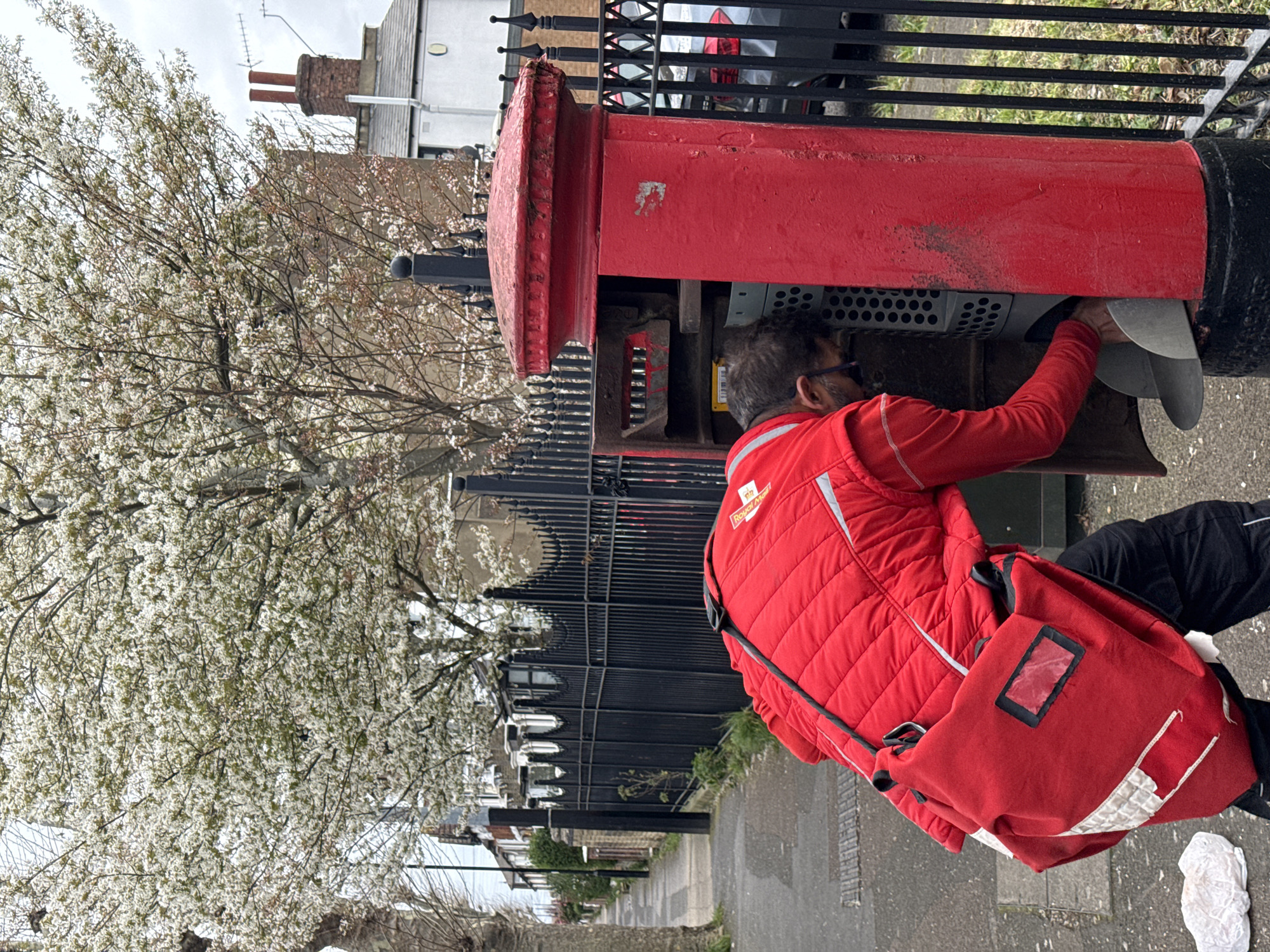 A medium shot depicts a red-clad Royal Mail worker emptying a red pillar box on a street in London, UK. The worker, seen from the side and rear, is hunched over, reaching into the box. A red Royal Mail shoulder bag is visible. The pillar box is located alongside a black wrought iron fence and pavement. Behind the fence are terraced houses. A tree with white blossoms is on the left. The sky is overcast.